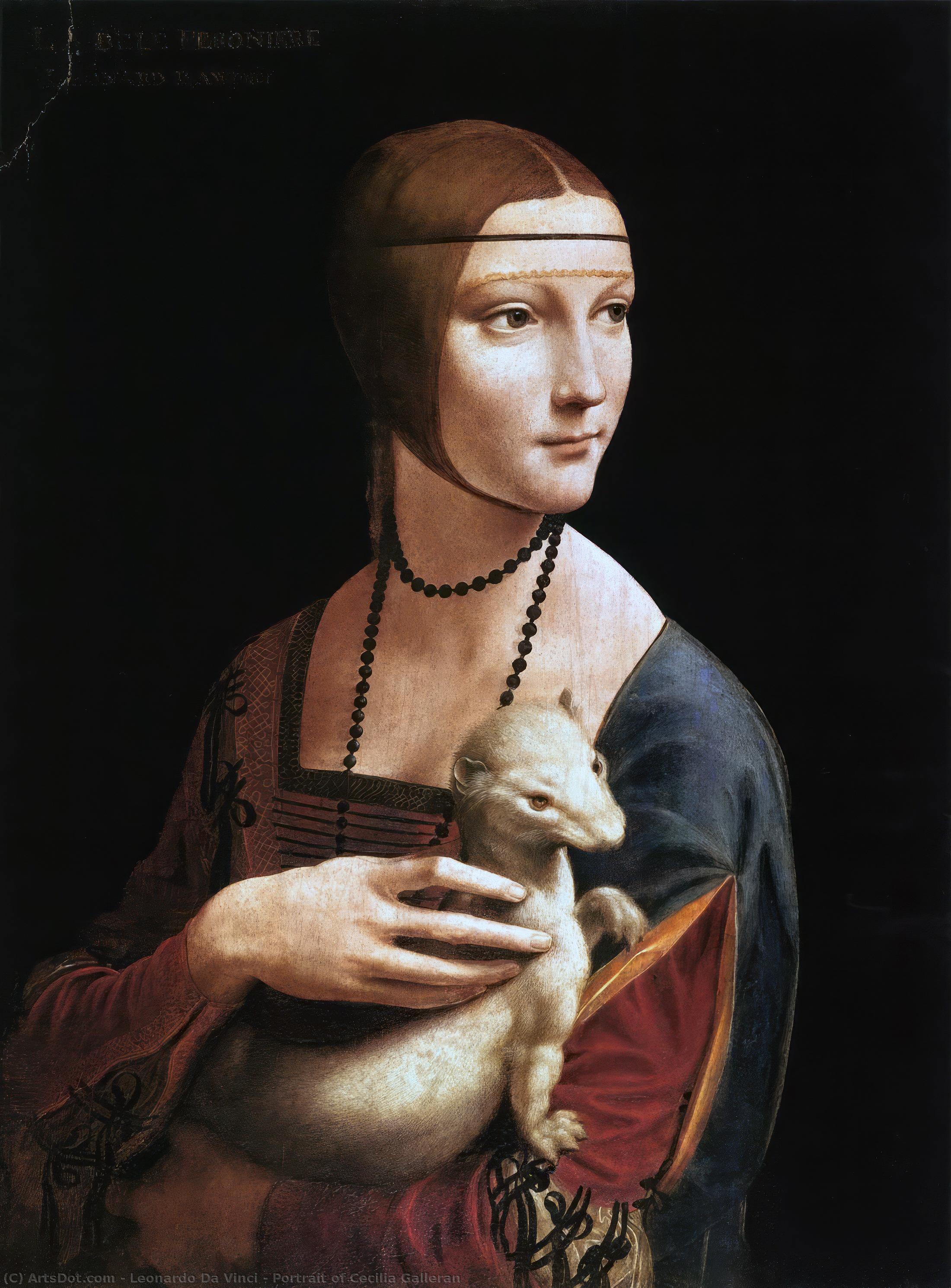 Order Art Reproductions Portrait of Cecilia Galleran, 1496 by Leonardo Da Vinci (1452-1519, Italy) | ArtsDot.com
