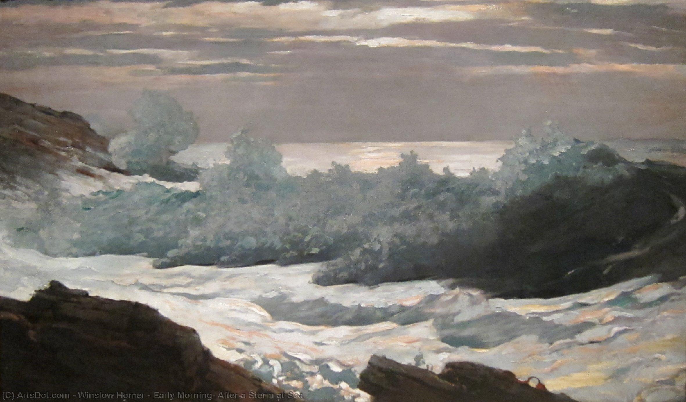 Ordinare Riproduzioni D'arte mattina presto, dopo una tempesta al mare, 1902 di Winslow Homer (1836-1910, United States) | ArtsDot.com