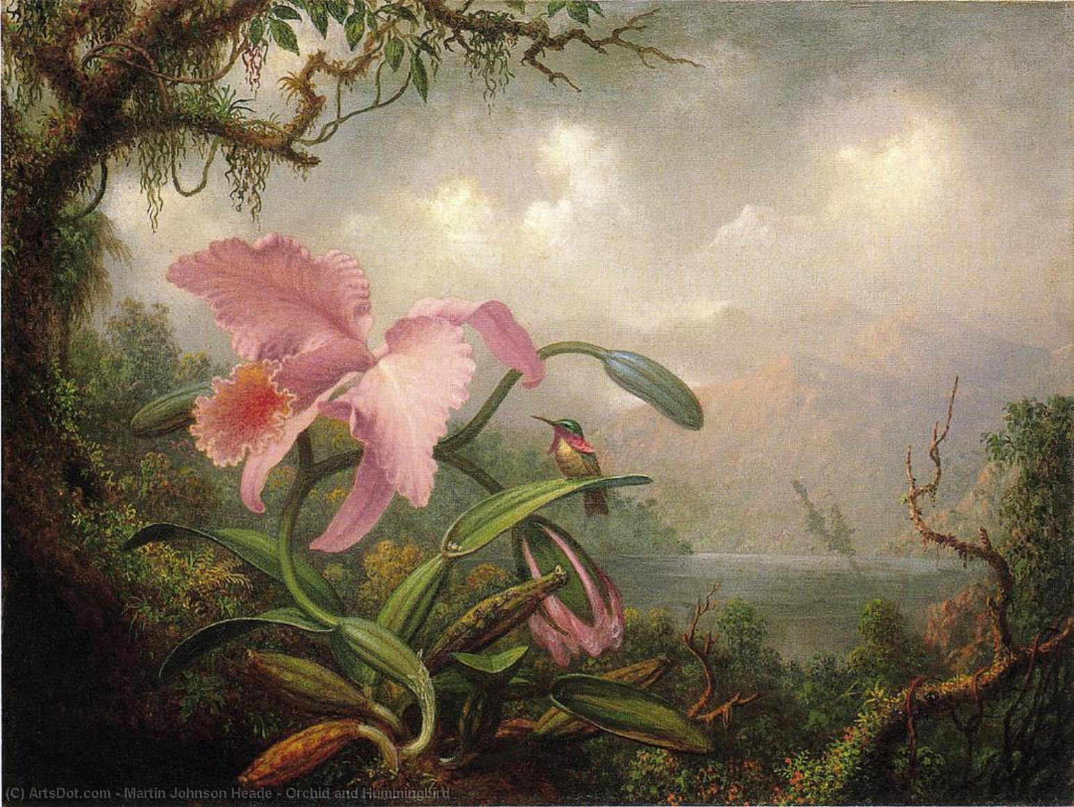 Buy Museum Art Reproductions Orchid and Hummingbird, 1885 by Martin Johnson Heade (1819-1904, United States) | ArtsDot.com