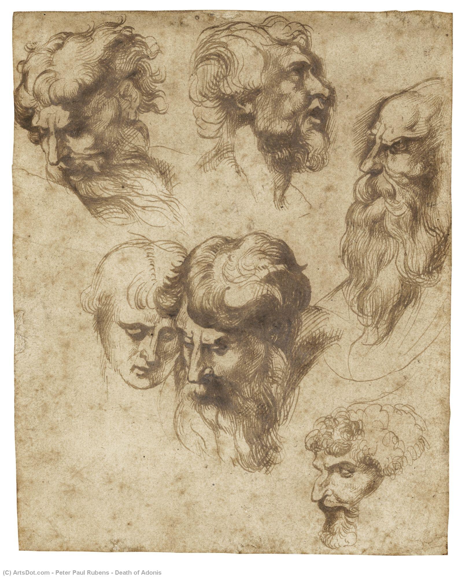 Order Art Reproductions Death of Adonis, 1612 by Peter Paul Rubens (1577-1640, Germany) | ArtsDot.com