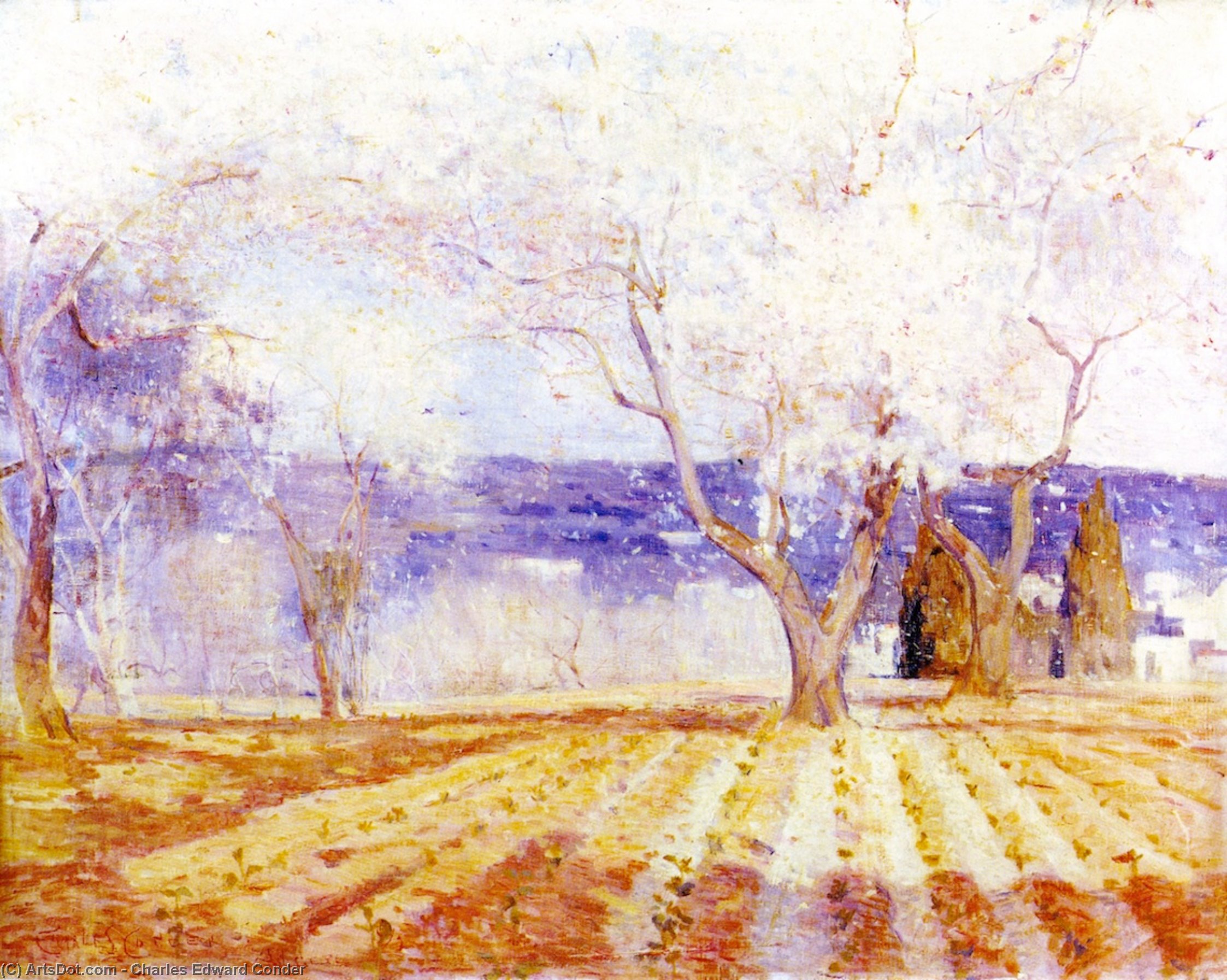 Obtener Grabados De Calidad Del Museo Árboles de frutas en Flor, Argel, 1892 de Charles Edward Conder (1868-1909, United Kingdom) | ArtsDot.com