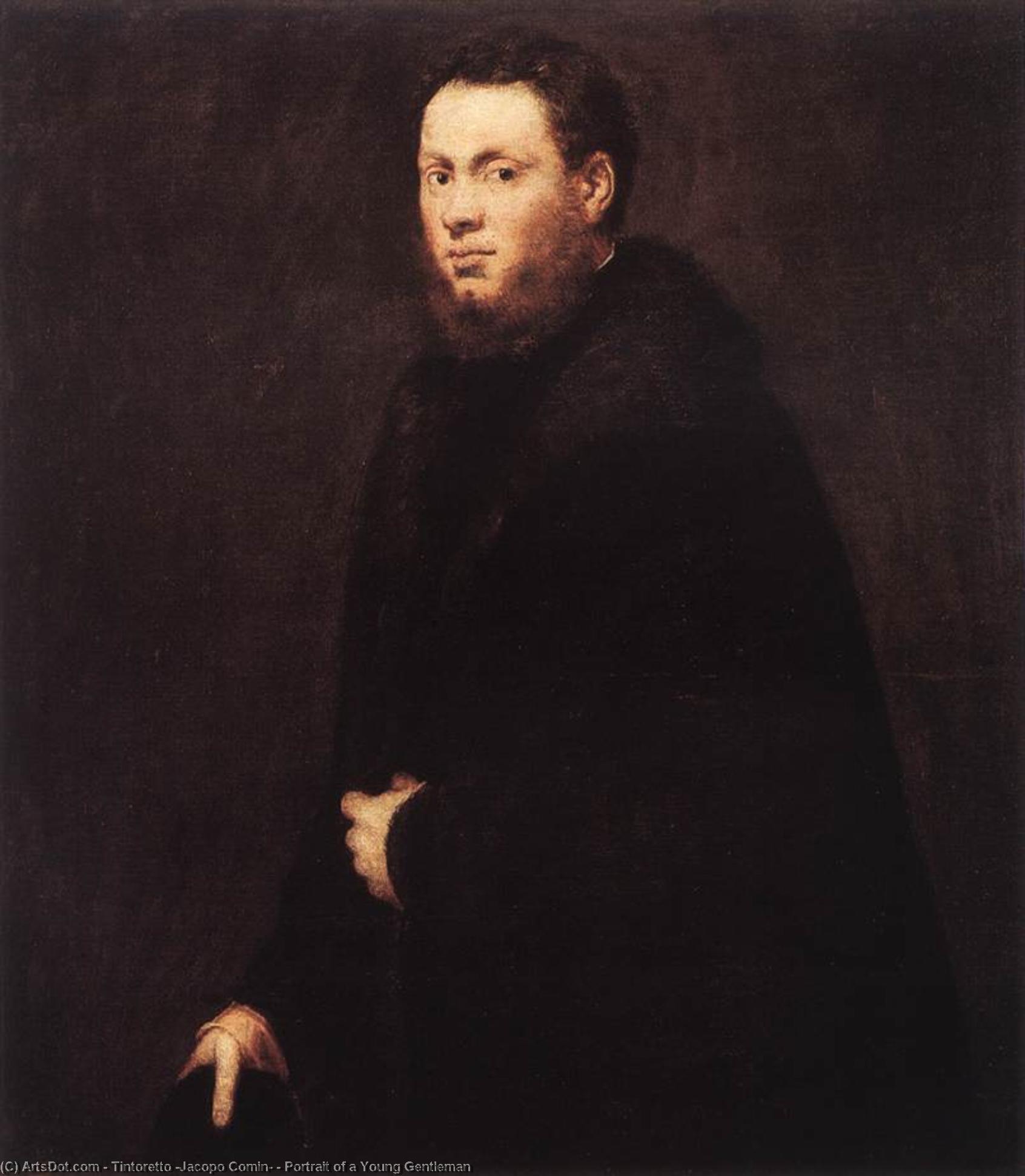 Order Oil Painting Replica Portrait of a Young Gentleman, 1555 by Tintoretto (Jacopo Comin) (1518-1594, Italy) | ArtsDot.com
