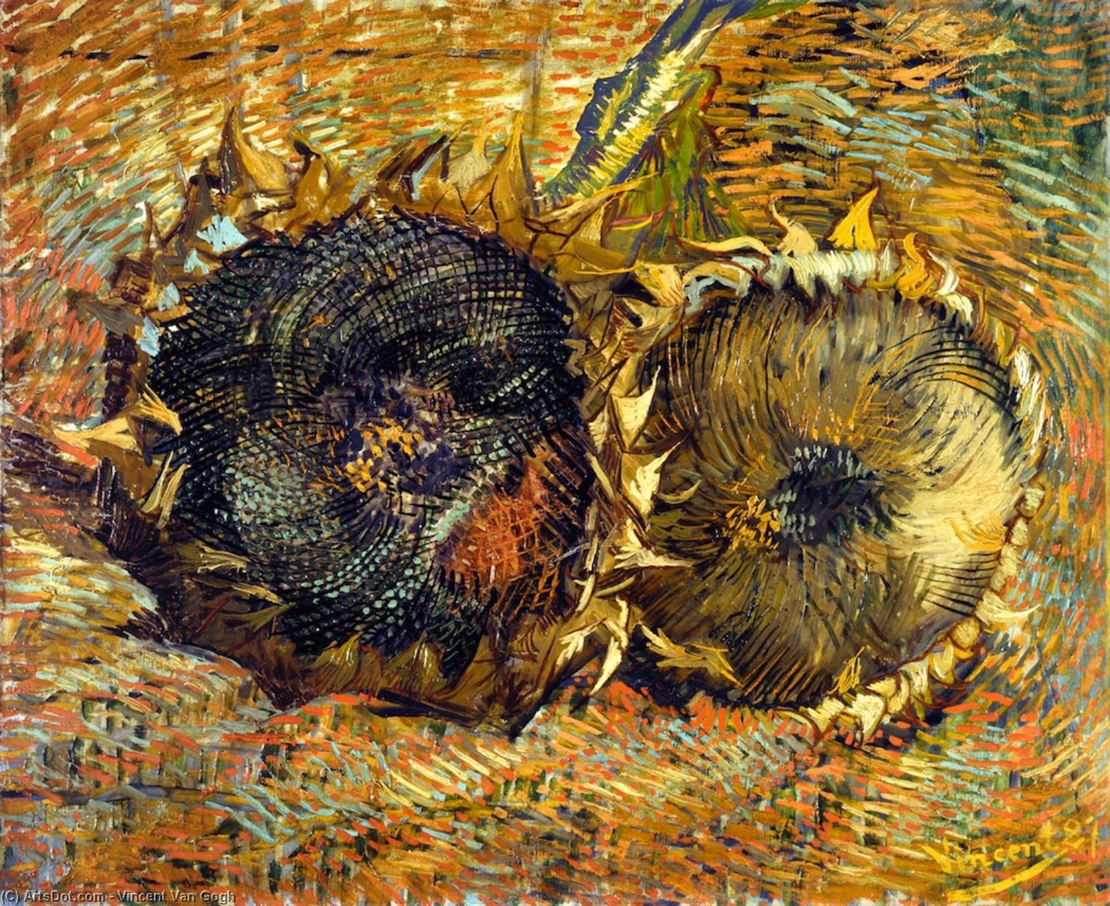 Order Art Reproductions Still Life with Two Sunflowers, 1887 by Vincent Van Gogh (1853-1890, Netherlands) | ArtsDot.com