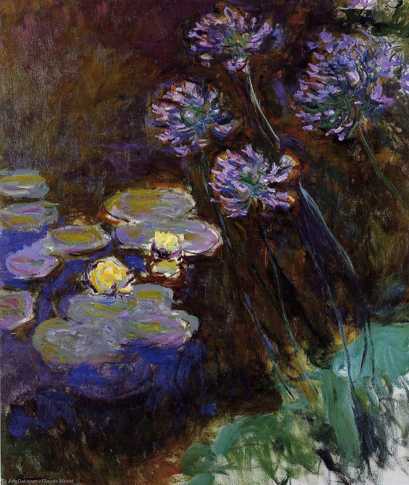 Order Paintings Reproductions Water-Lilies and Agapanthus, 1914 by Claude Monet (1840-1926, France) | ArtsDot.com