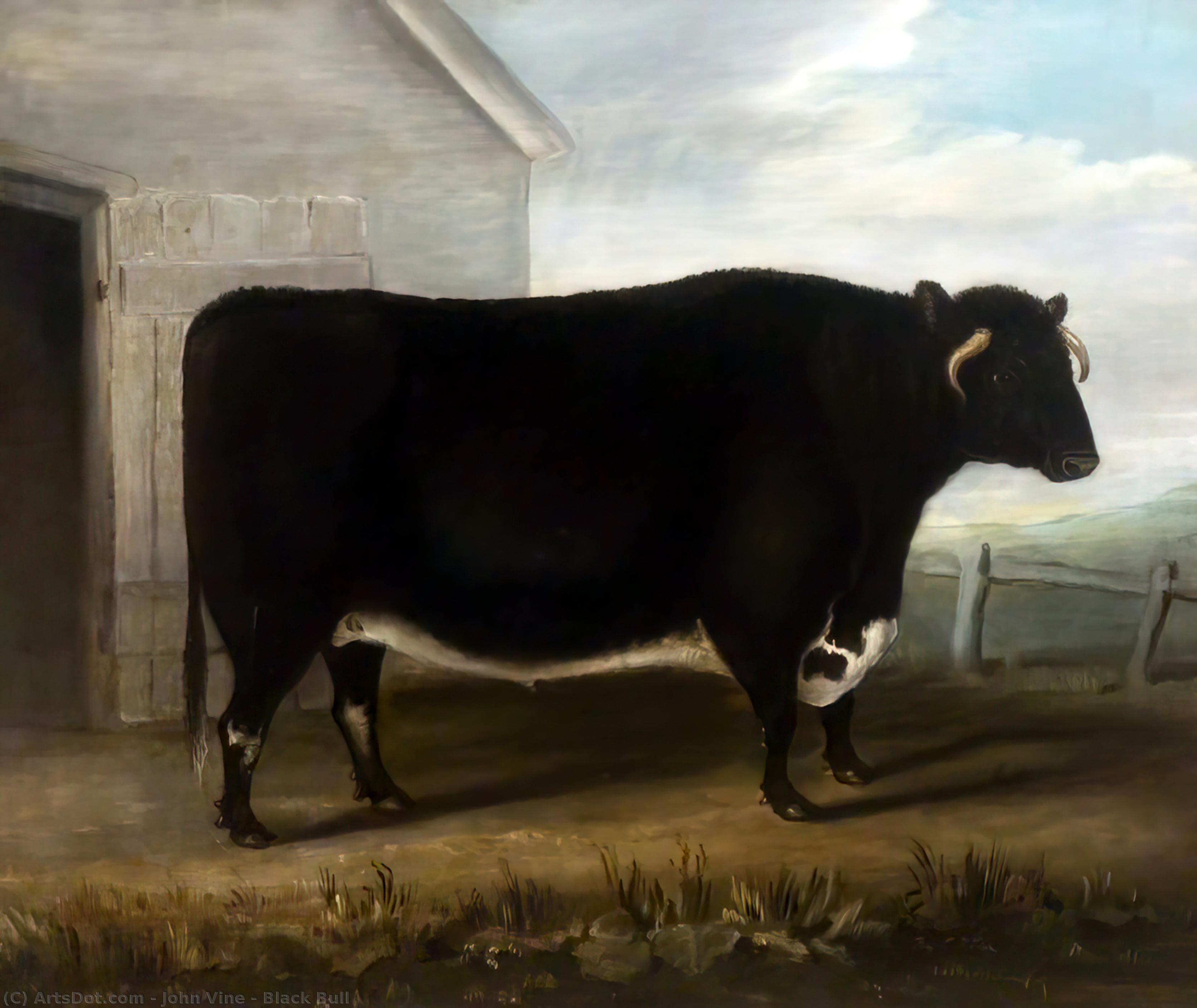 順序 油絵 ブラックブル, 1850 バイ John Vine (1808-1867) | ArtsDot.com