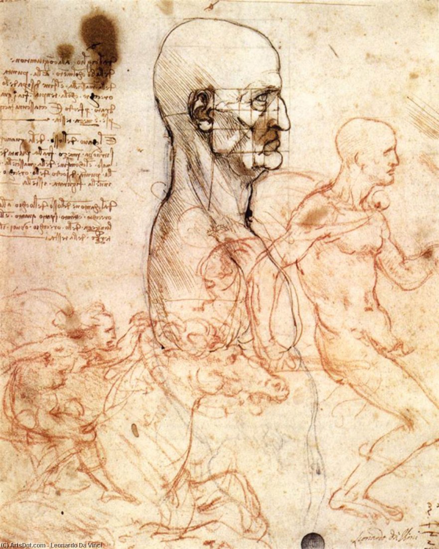 Bestellen Gemälde Reproduktionen Kopf gemessen, und Reiter, 1497 von Leonardo Da Vinci (1452-1519, Italy) | ArtsDot.com