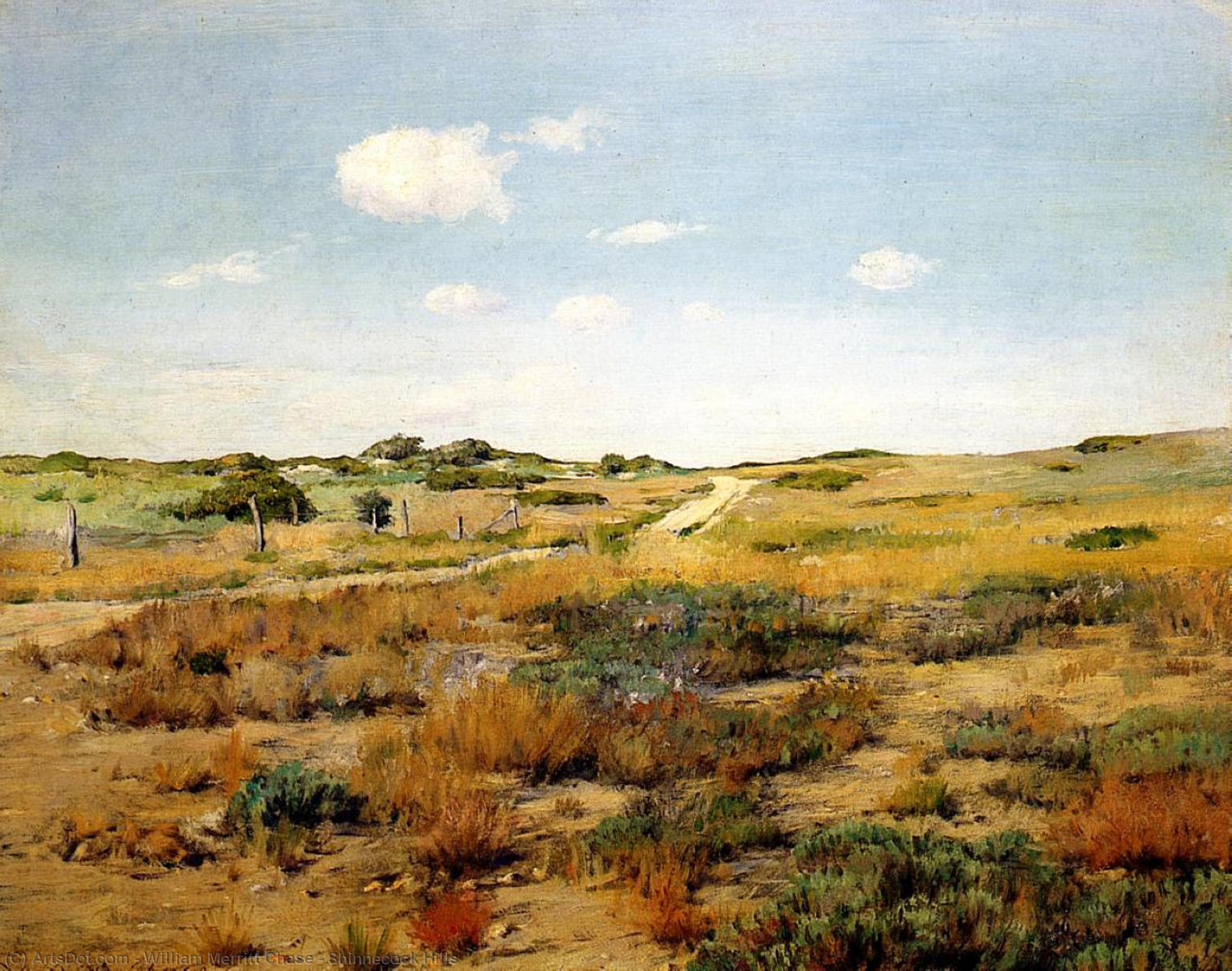 順序 「アート再現 シンネコックヒルズ, 1893 バイ William Merritt Chase (1849-1916, United States) | ArtsDot.com