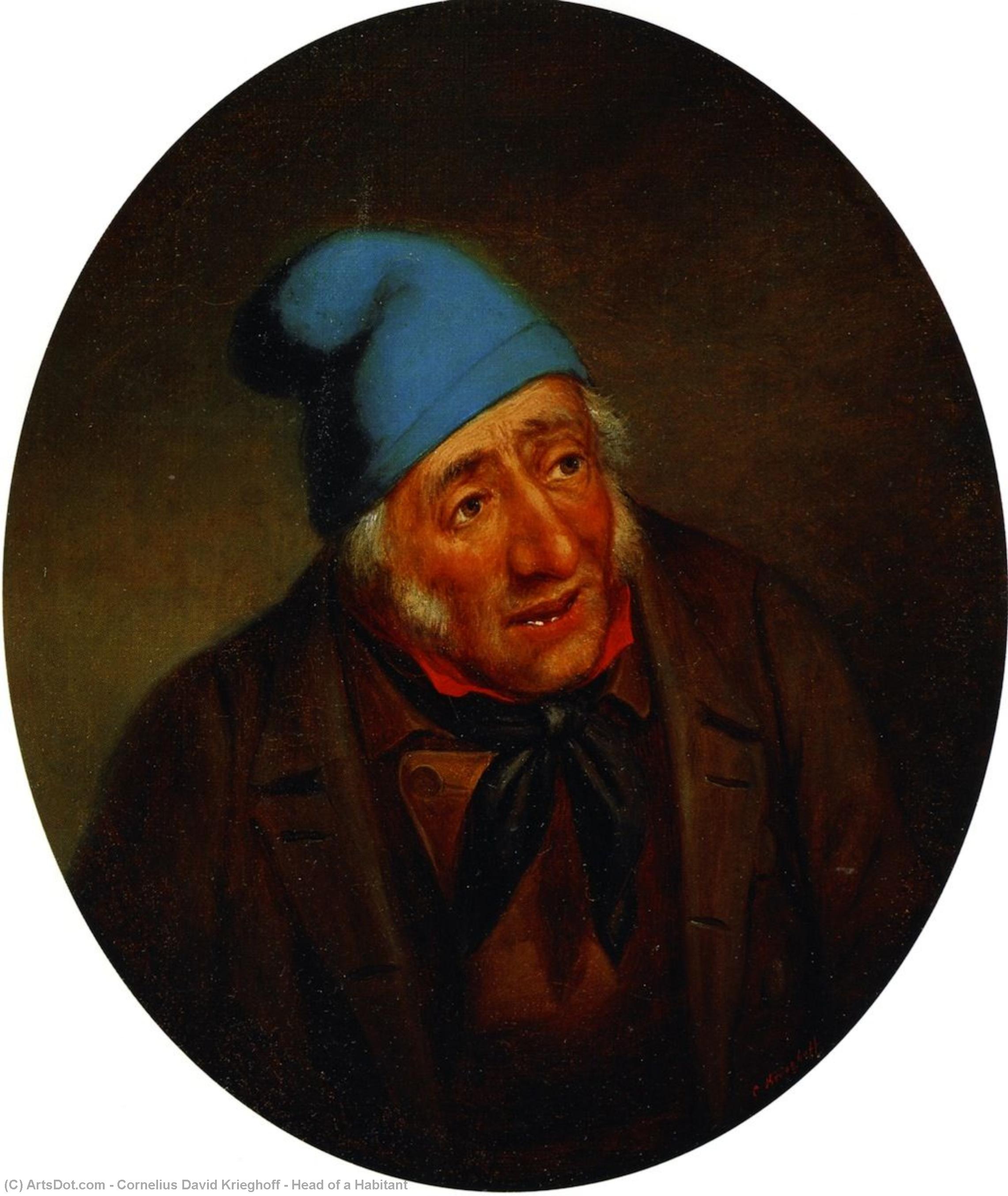 Obtener Grabados De Calidad Del Museo Head of a Habitant, 1855 de Cornelius David Krieghoff (1815-1872, Netherlands) | ArtsDot.com