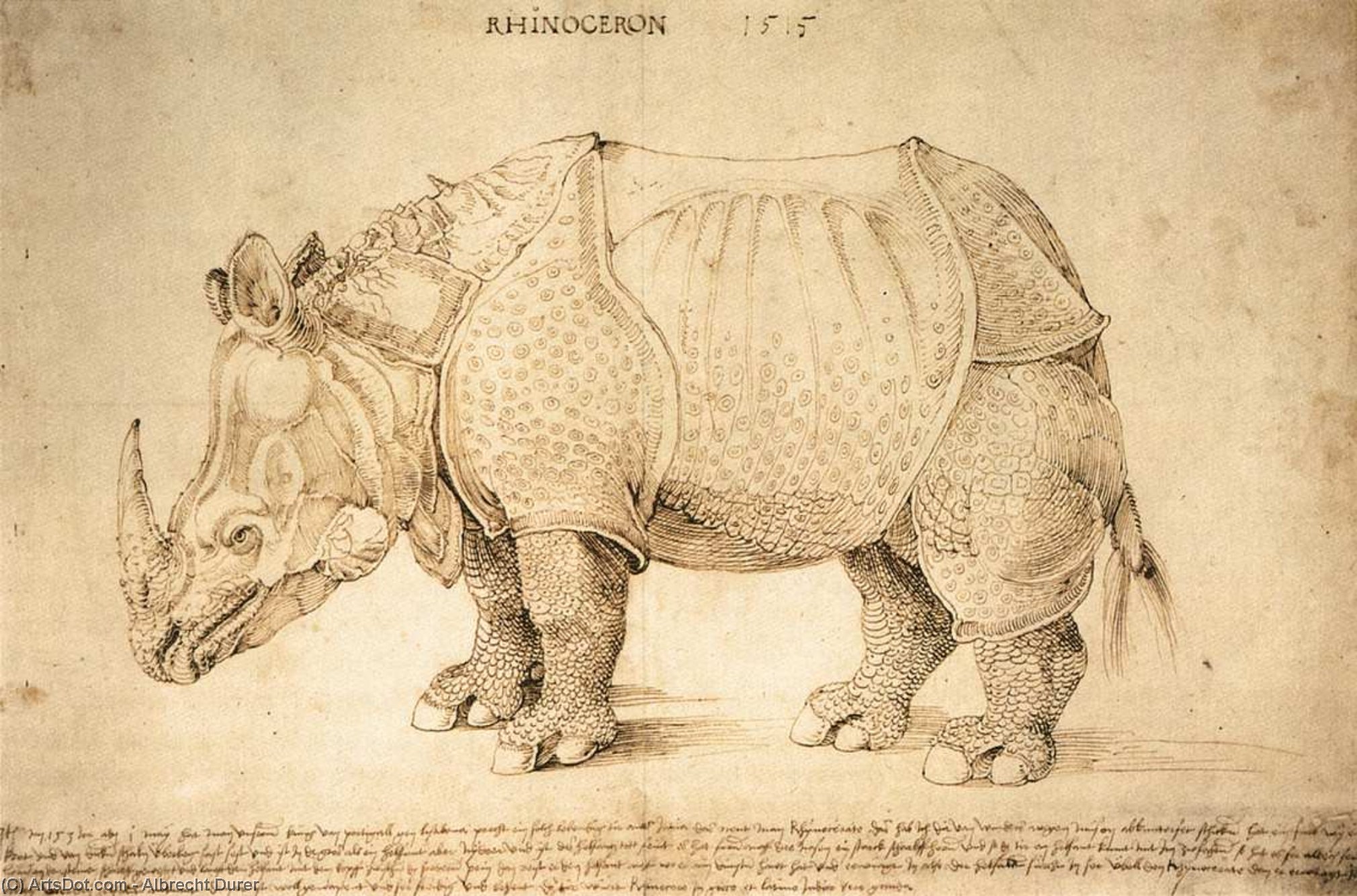 Order Paintings Reproductions Rhinoceros, 1515 by Albrecht Durer (1471-1528, Italy) | ArtsDot.com