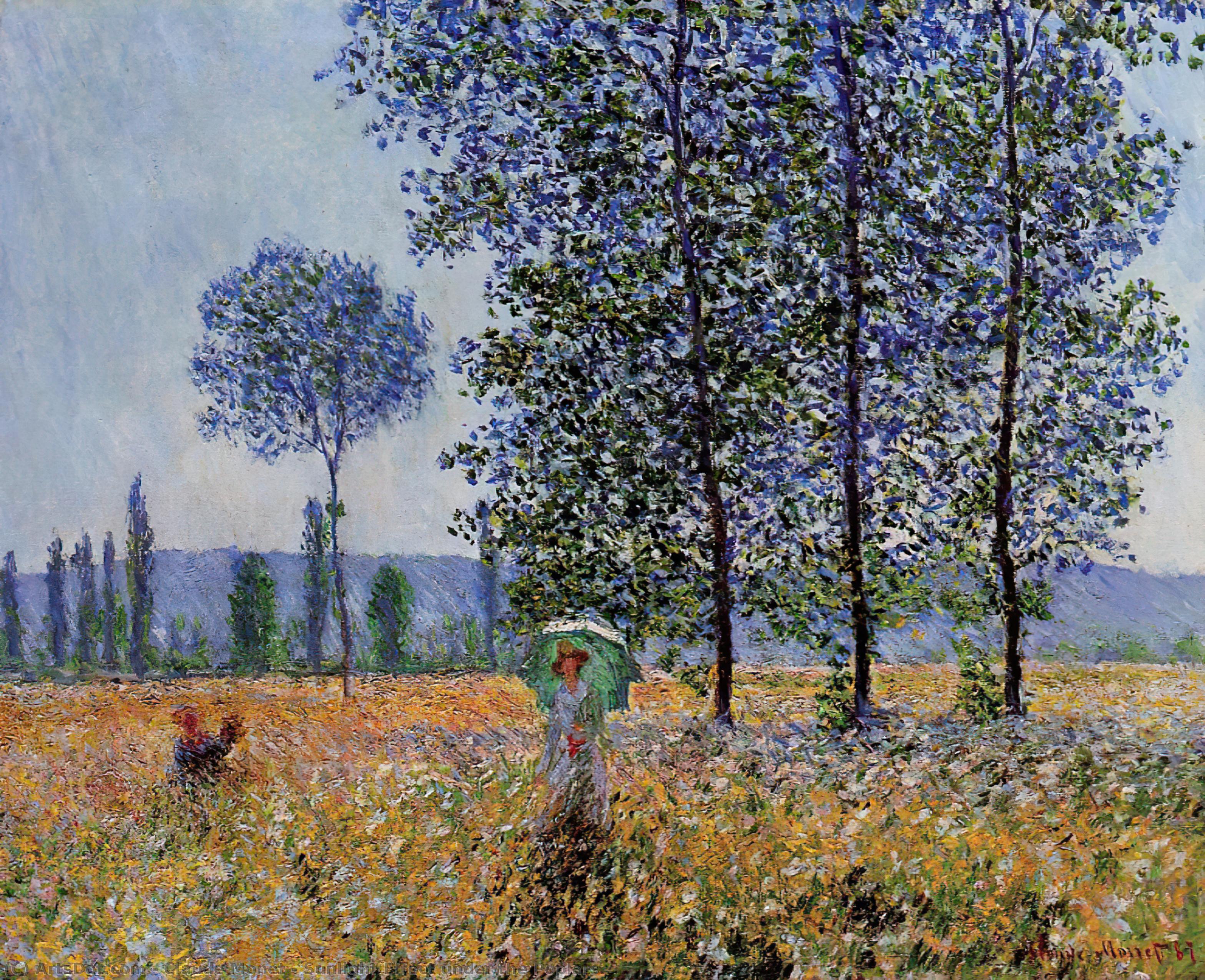 Pedir Reproducciones De Pinturas Efecto de la luz solar bajo los álamos, 1887 de Claude Monet (1840-1926, France) | ArtsDot.com