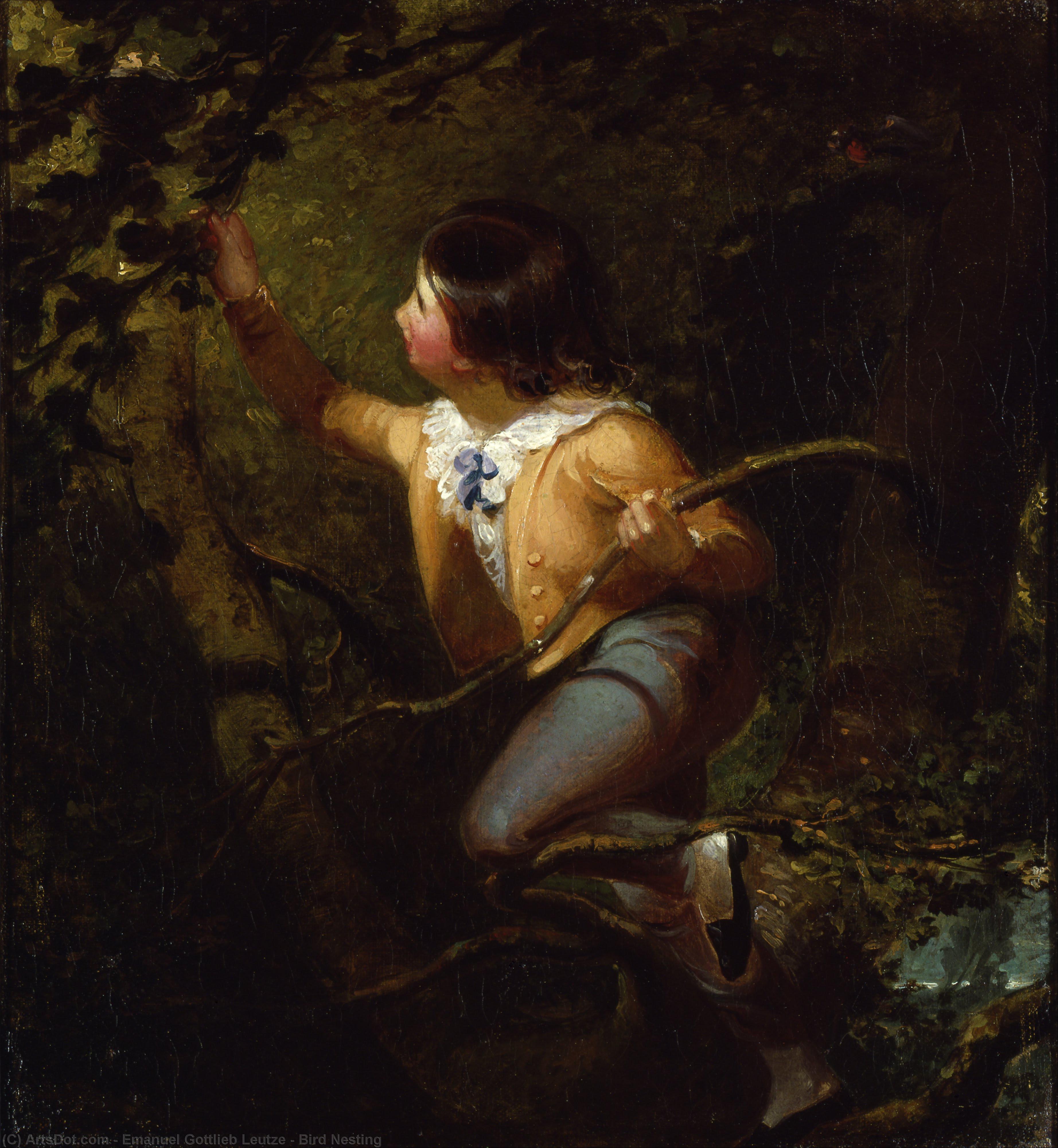 Получить Репродукции Картин Берд Нестинг, 1837 по Emanuel Gottlieb Leutze (1816-1868, Germany) | ArtsDot.com
