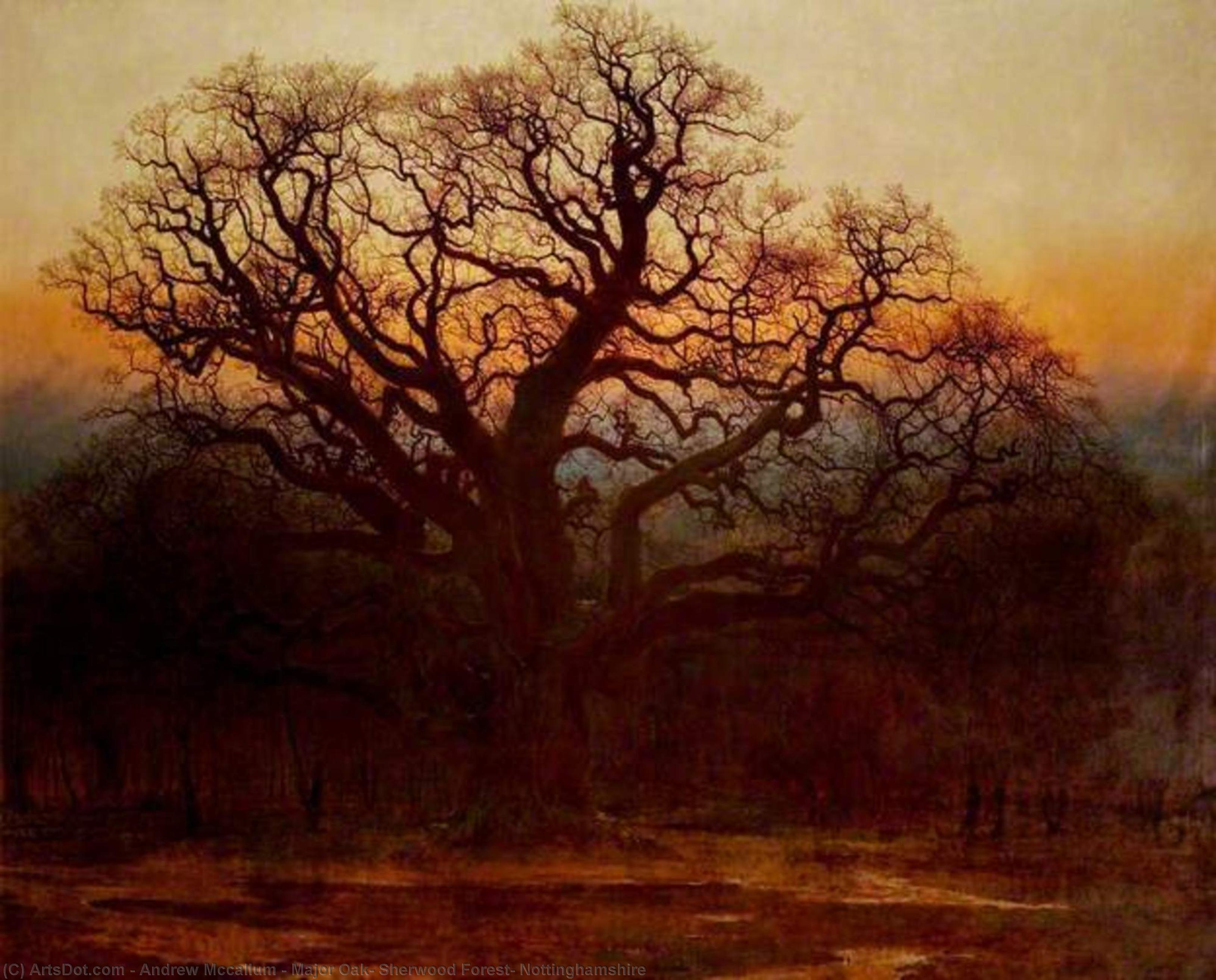 Order Art Reproductions Major Oak, Sherwood Forest, Nottinghamshire, 1882 by Andrew Mccallum (1821-1902) | ArtsDot.com