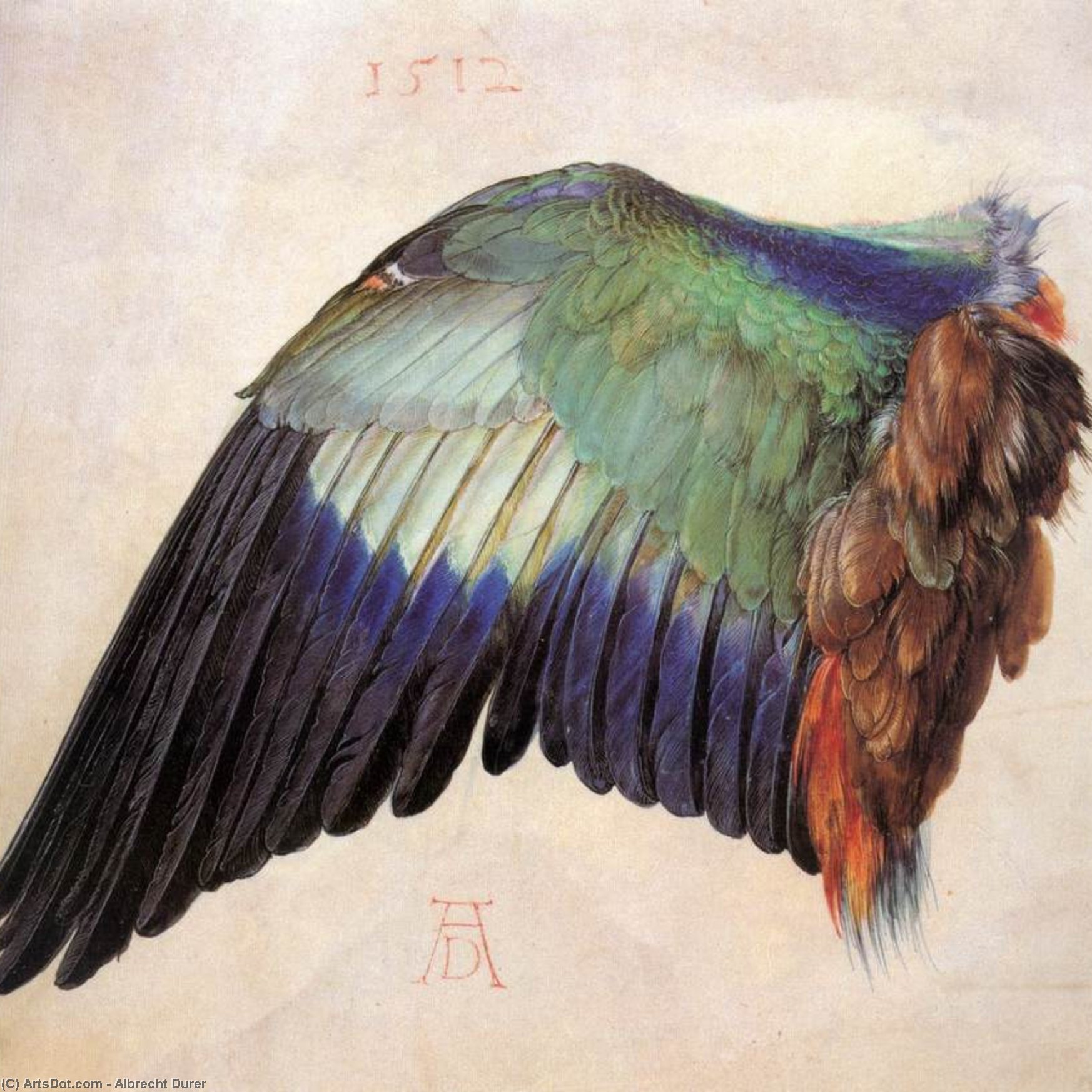 顺序 藝術再現 • “蓝色滚动器”, 1512 通过 Albrecht Durer (1471-1528, Italy) | ArtsDot.com