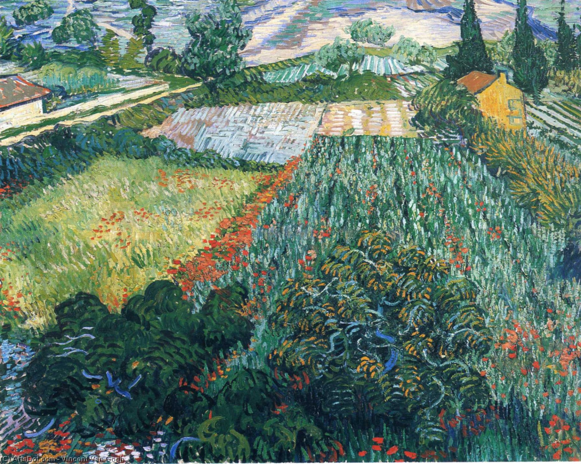Comprar Reproducciones De Arte Del Museo Campo con amapolas, 1890 de Vincent Van Gogh (1853-1890, Netherlands) | ArtsDot.com