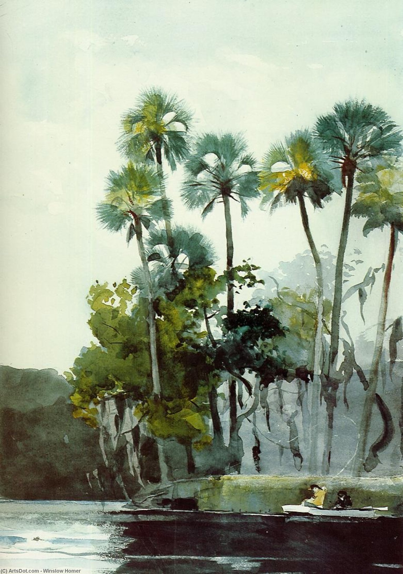 顺序 畫複製 霍莫萨萨河, 1904 通过 Winslow Homer (1836-1910, United States) | ArtsDot.com