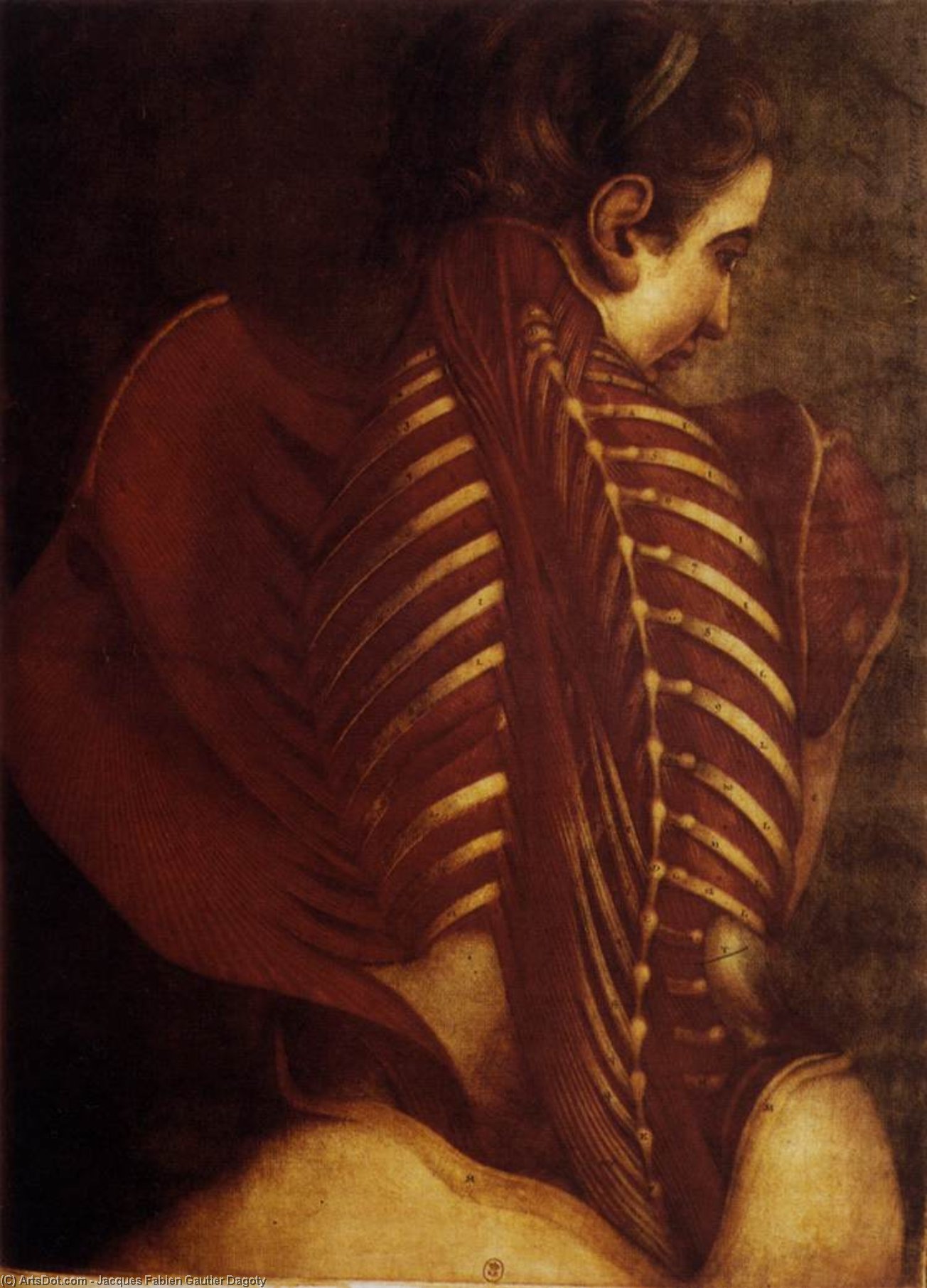 Ordinare Riproduzioni Di Quadri Indietro di Donna, 1746 di Jacques Fabien Gautier Dagoty (1740-1786, France) | ArtsDot.com