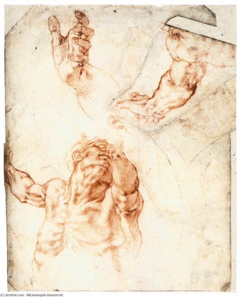 順序 油絵 ハマーンの図のファイブスタディ(recto), 1512 バイ Michelangelo Buonarroti (1475-1564, Italy) | ArtsDot.com