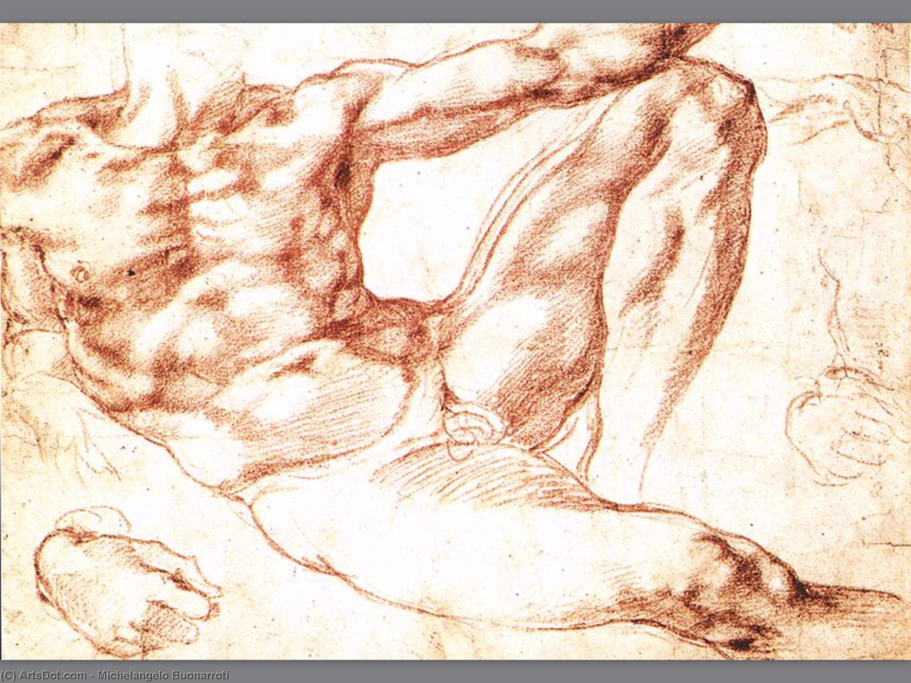 顺序 手工油畫 A Adam研究。, 1510 通过 Michelangelo Buonarroti (1475-1564, Italy) | ArtsDot.com