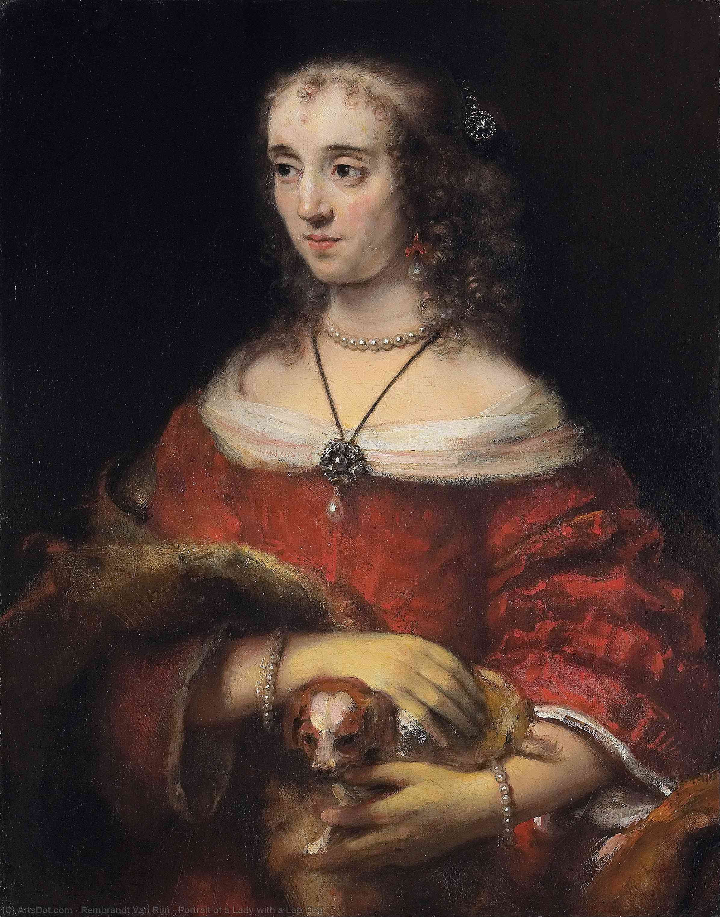 Ordinare Riproduzioni Di Quadri Ritratto di una signora con un cane di lap, 1665 di Rembrandt Van Rijn (1606-1669, Netherlands) | ArtsDot.com
