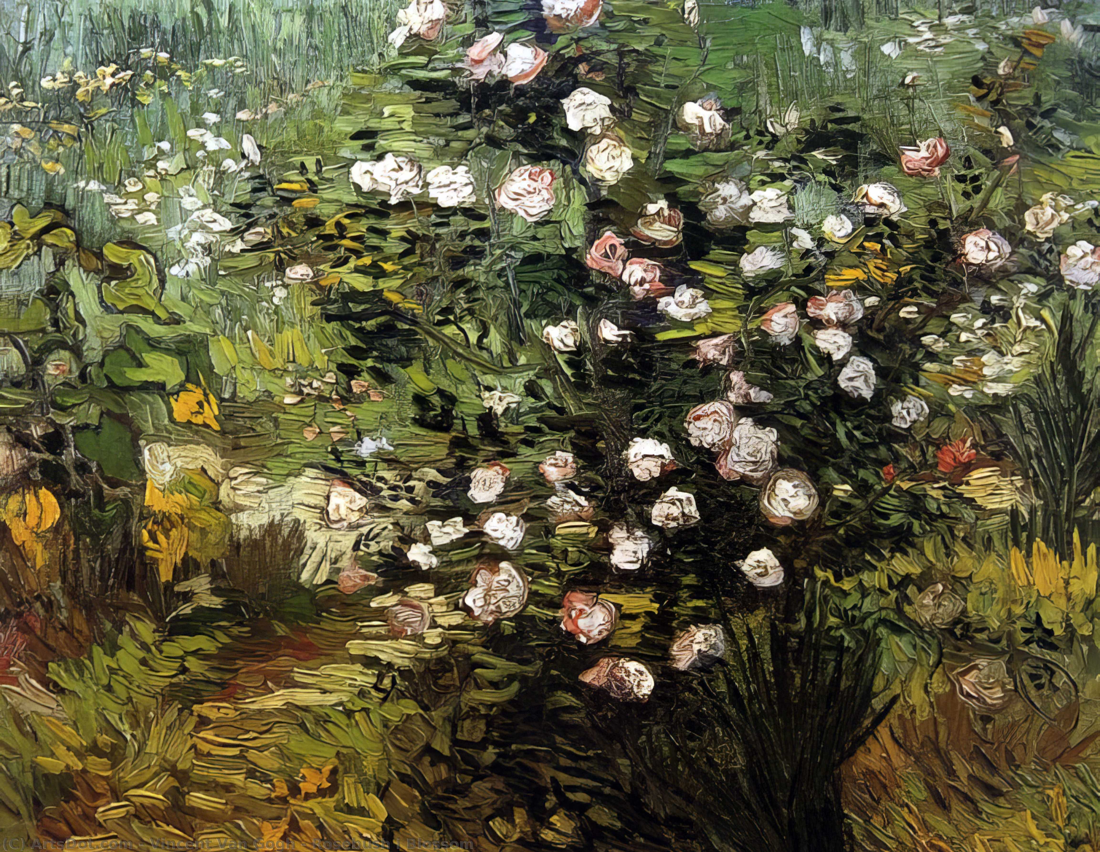 Buy Museum Art Reproductions Rosebush i Blossom, 1899 by Vincent Van Gogh (1853-1890, Netherlands) | ArtsDot.com