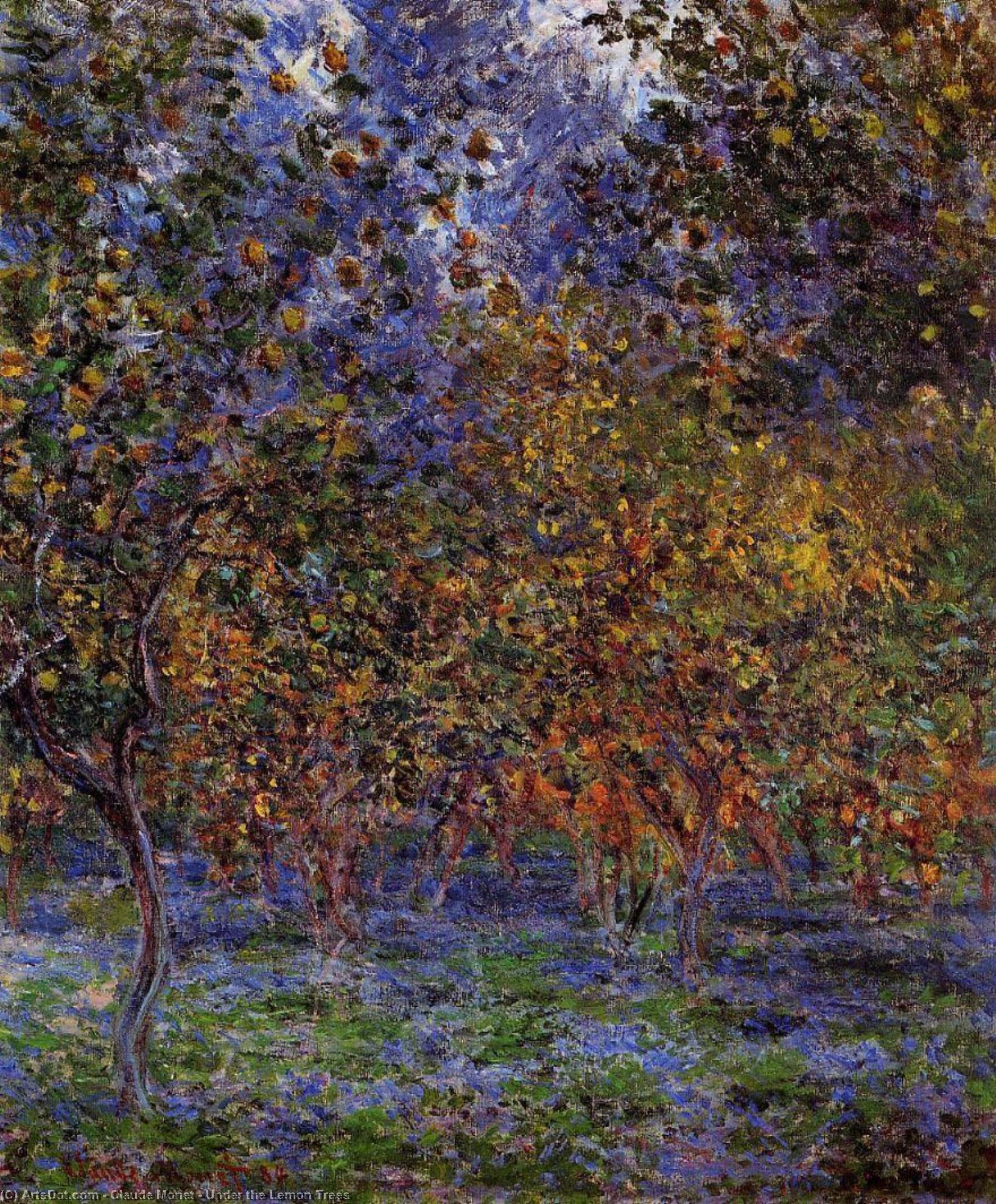 Compra Riproduzioni D'arte Del Museo Sotto gli alberi di limone, 1884 di Claude Monet (1840-1926, France) | ArtsDot.com