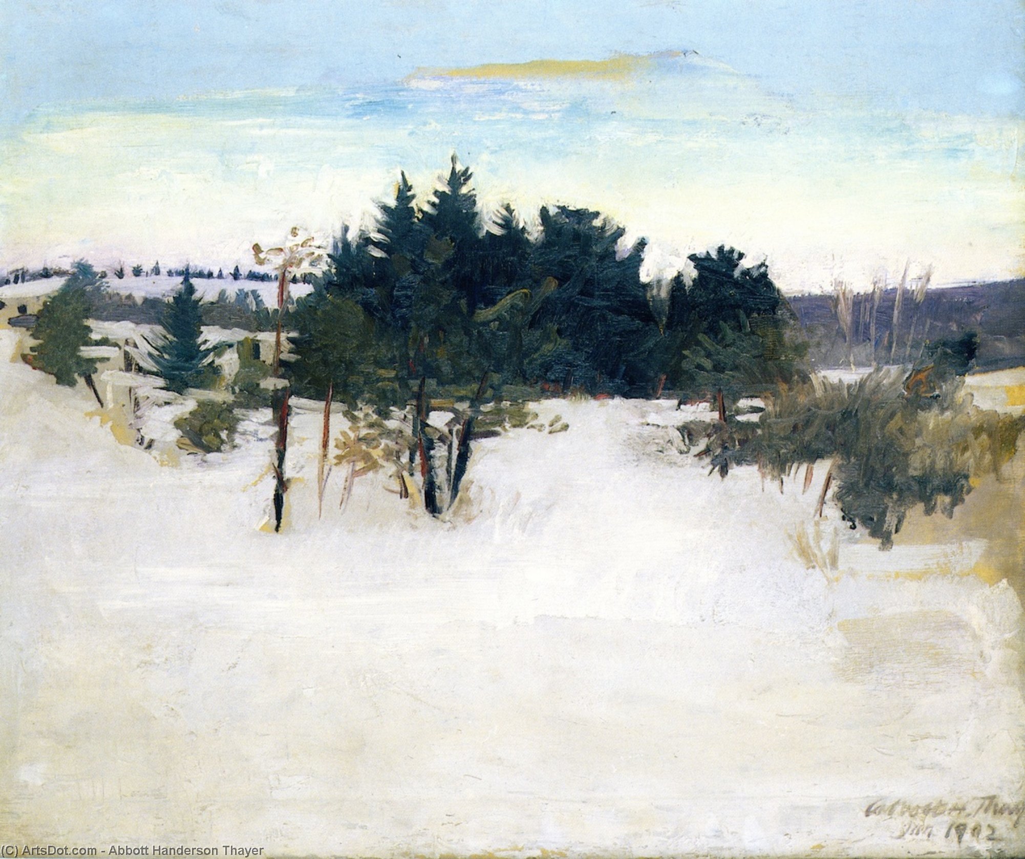 顺序 手工油畫 冬季景观。, 1902 通过 Abbott Handerson Thayer (1849-1921, United States) | ArtsDot.com