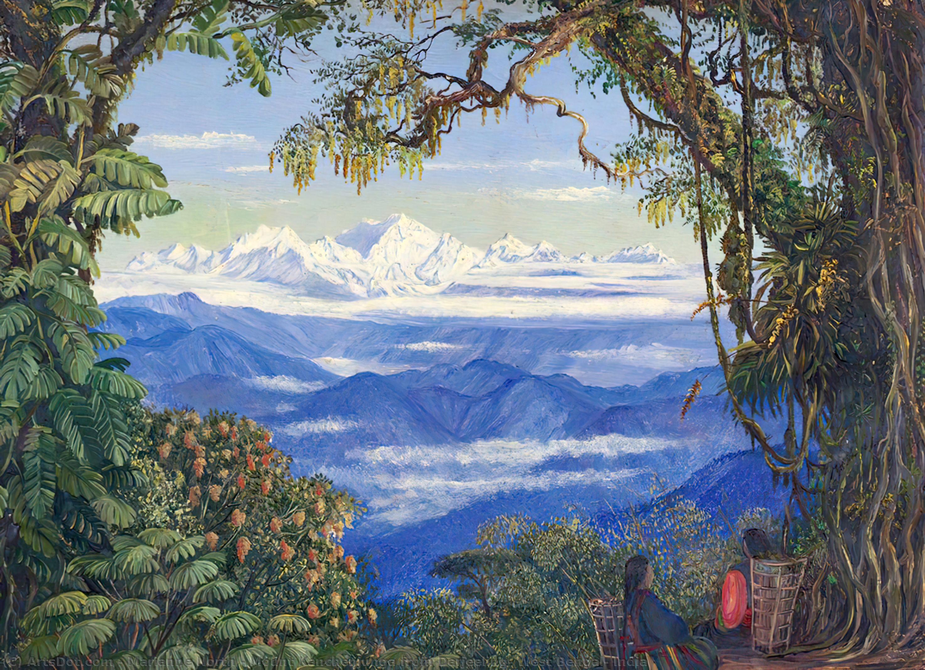 Comprar Reproducciones De Arte Del Museo Monte Kanchenjunga de Darjeeling, Bengala Occidental, India, 1878 de Marianne North (1830-1890, United Kingdom) | ArtsDot.com