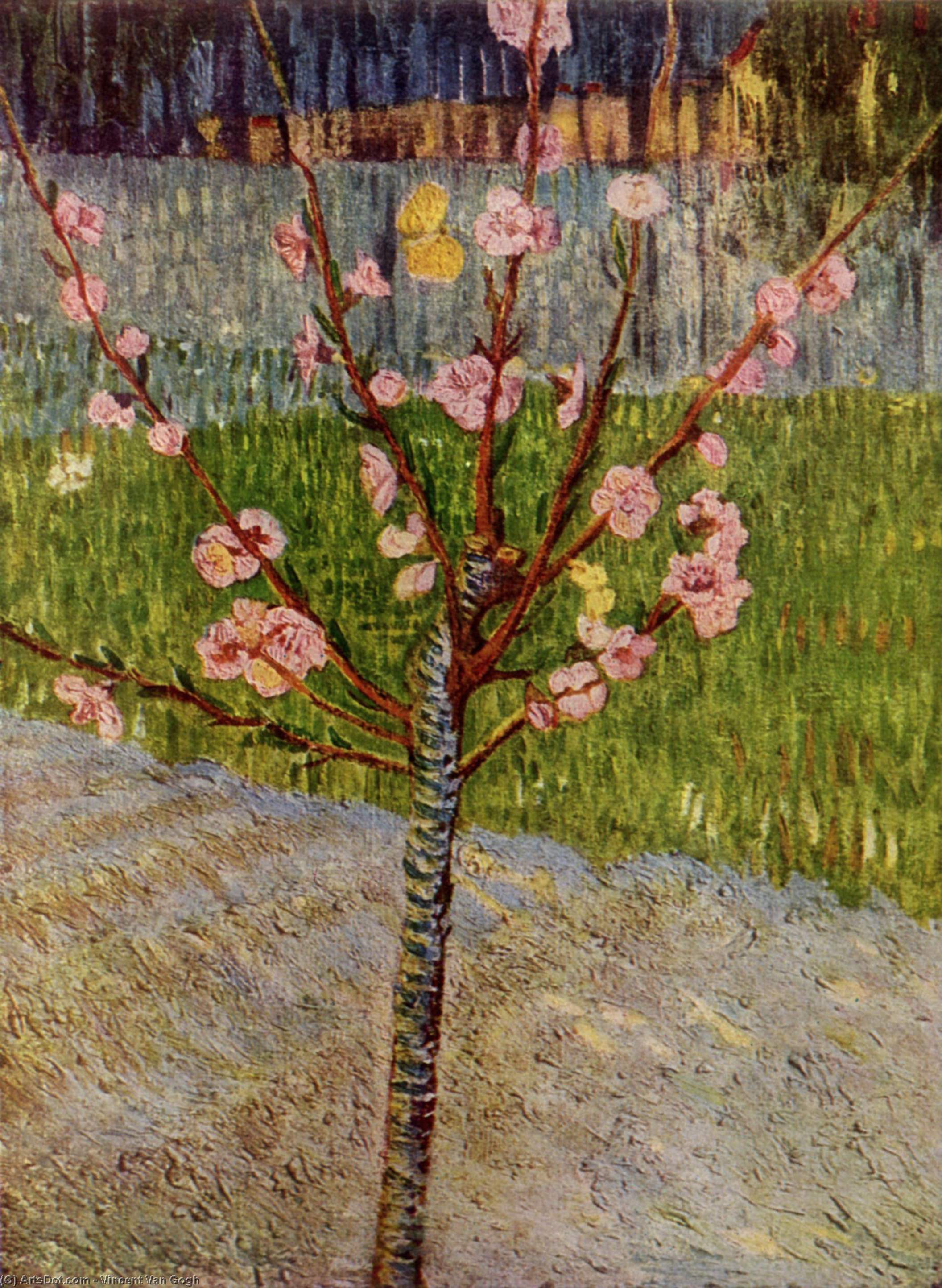 Pedir Reproducciones De Pinturas Árbol de almendras en Blossom, 1888 de Vincent Van Gogh (1853-1890, Netherlands) | ArtsDot.com
