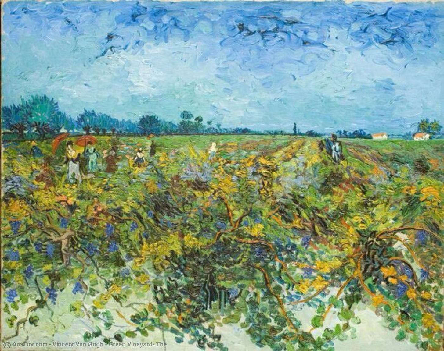 Order Artwork Replica Green Vineyard, The by Vincent Van Gogh (1853-1890, Netherlands) | ArtsDot.com