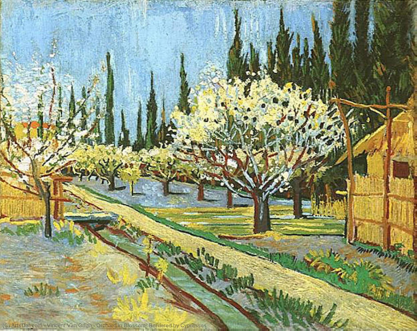 Order Paintings Reproductions Orchard in Blossom, Bordered by Cypresses by Vincent Van Gogh (1853-1890, Netherlands) | ArtsDot.com