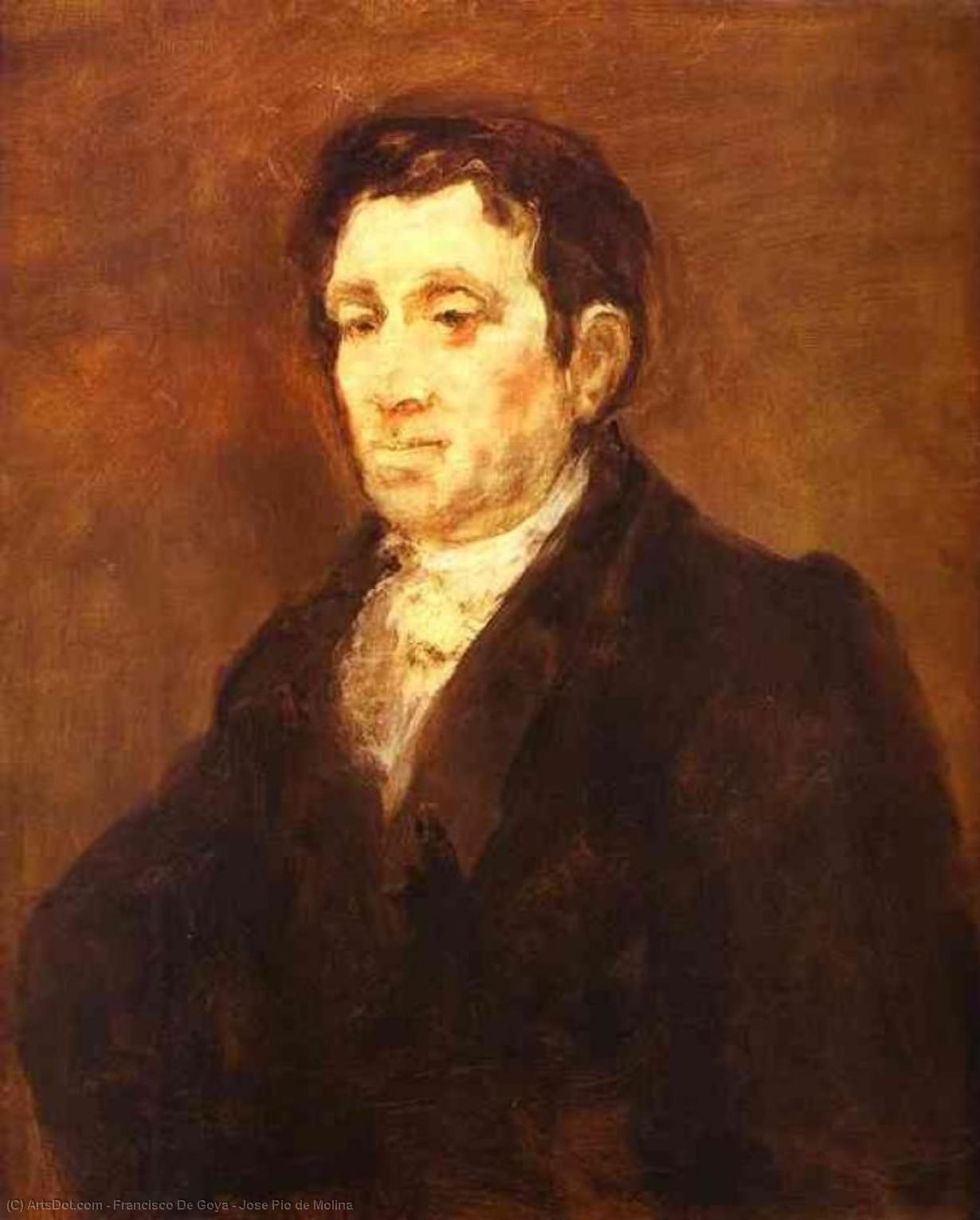 Order Paintings Reproductions Jose Pio de Molina by Francisco De Goya (1746-1828, Spain) | ArtsDot.com