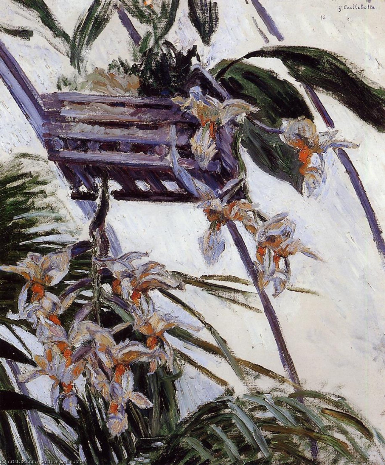 Order Oil Painting Replica Orchids, 1893 by Gustave Caillebotte (1848-1894, France) | ArtsDot.com