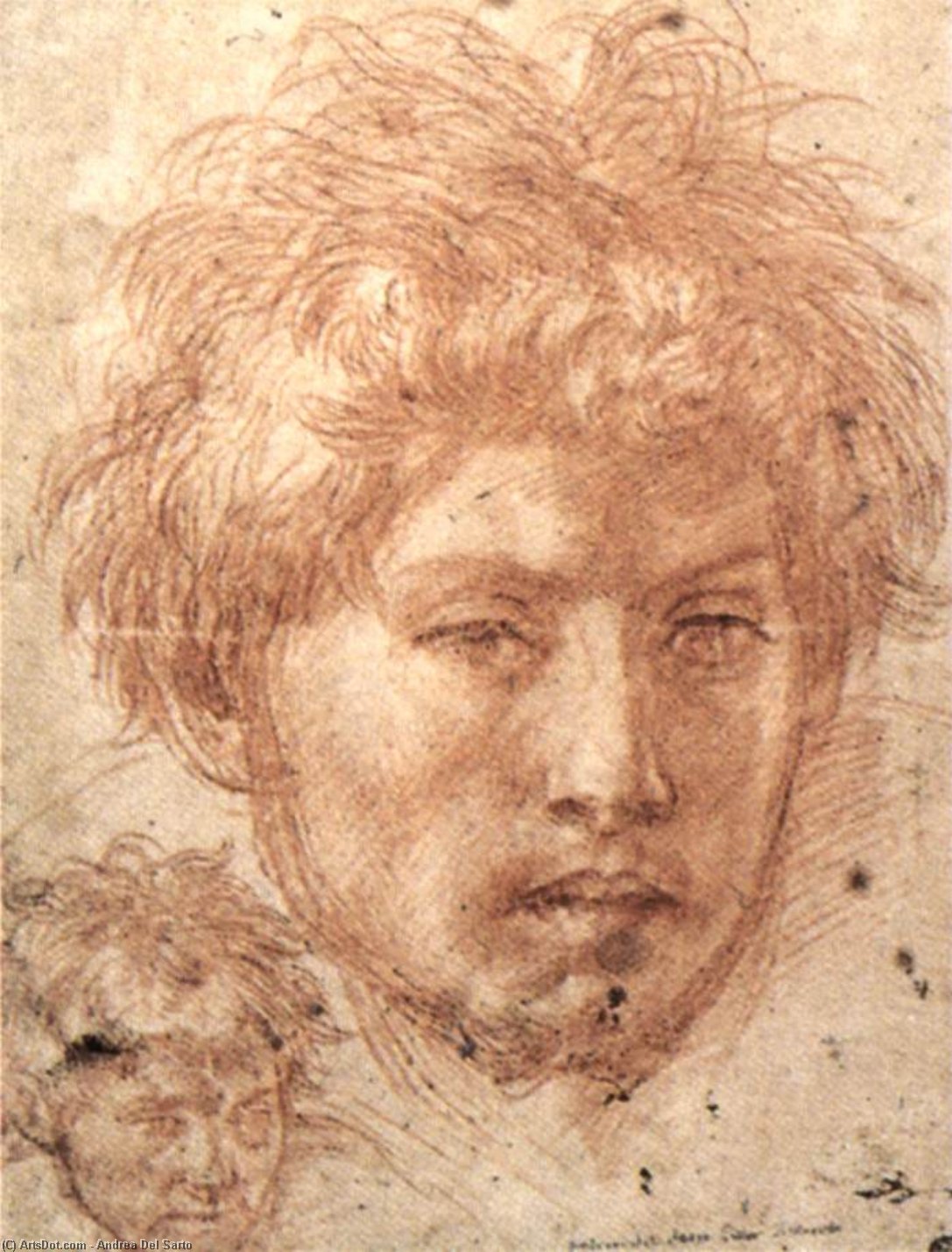 Order Oil Painting Replica Head of a Young Man, 1520 by Andrea Del Sarto (1486-1530, Italy) | ArtsDot.com