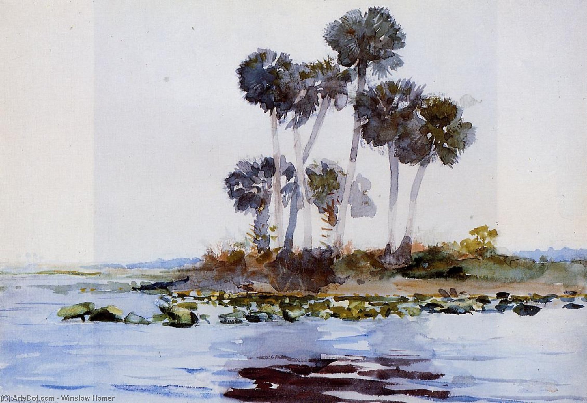 Buy Museum Art Reproductions St. John`s River, Florida, 1890 by Winslow Homer (1836-1910, United States) | ArtsDot.com