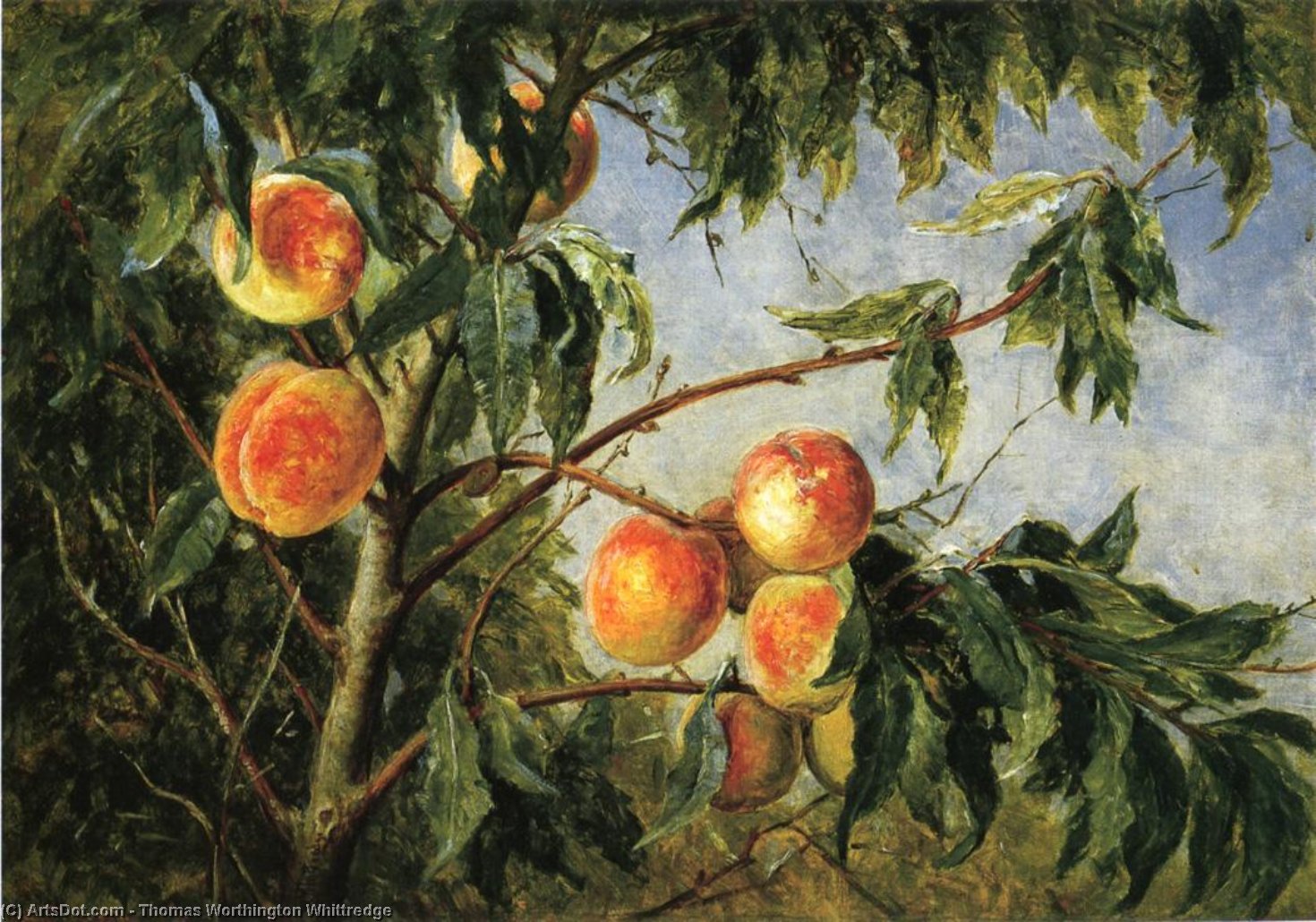 Buy Museum Art Reproductions Peaches, 1894 by Thomas Worthington Whittredge (1820-1910, United States) | ArtsDot.com