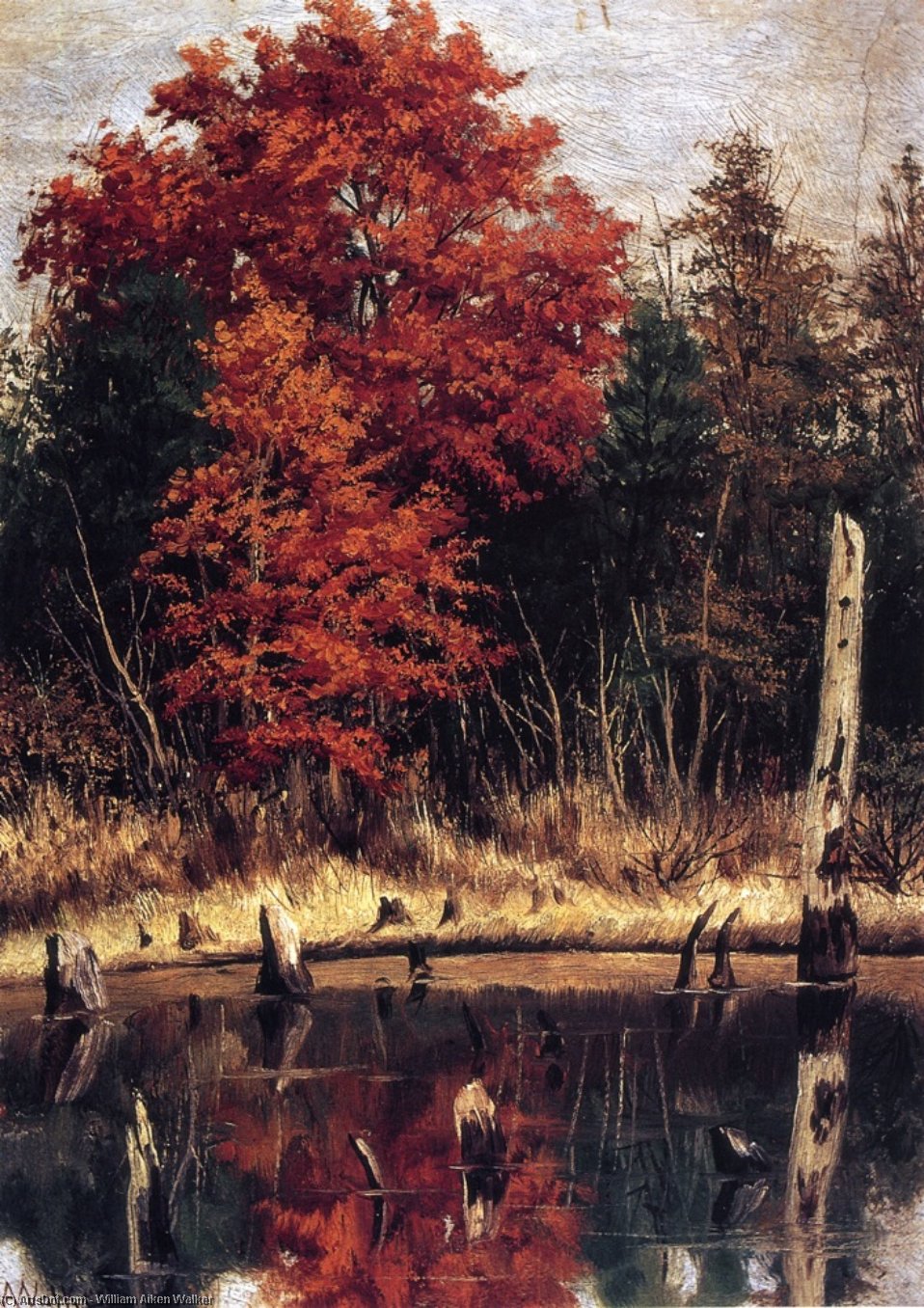 Order Oil Painting Replica Autumn Wood In North Carolina With Tree Stumps In Water by William Aiken Walker (1839-1921, United States) | ArtsDot.com