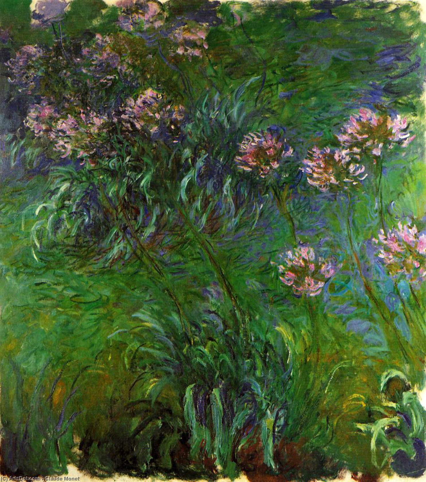Order Oil Painting Replica Agapanathus by Claude Monet (1840-1926, France) | ArtsDot.com