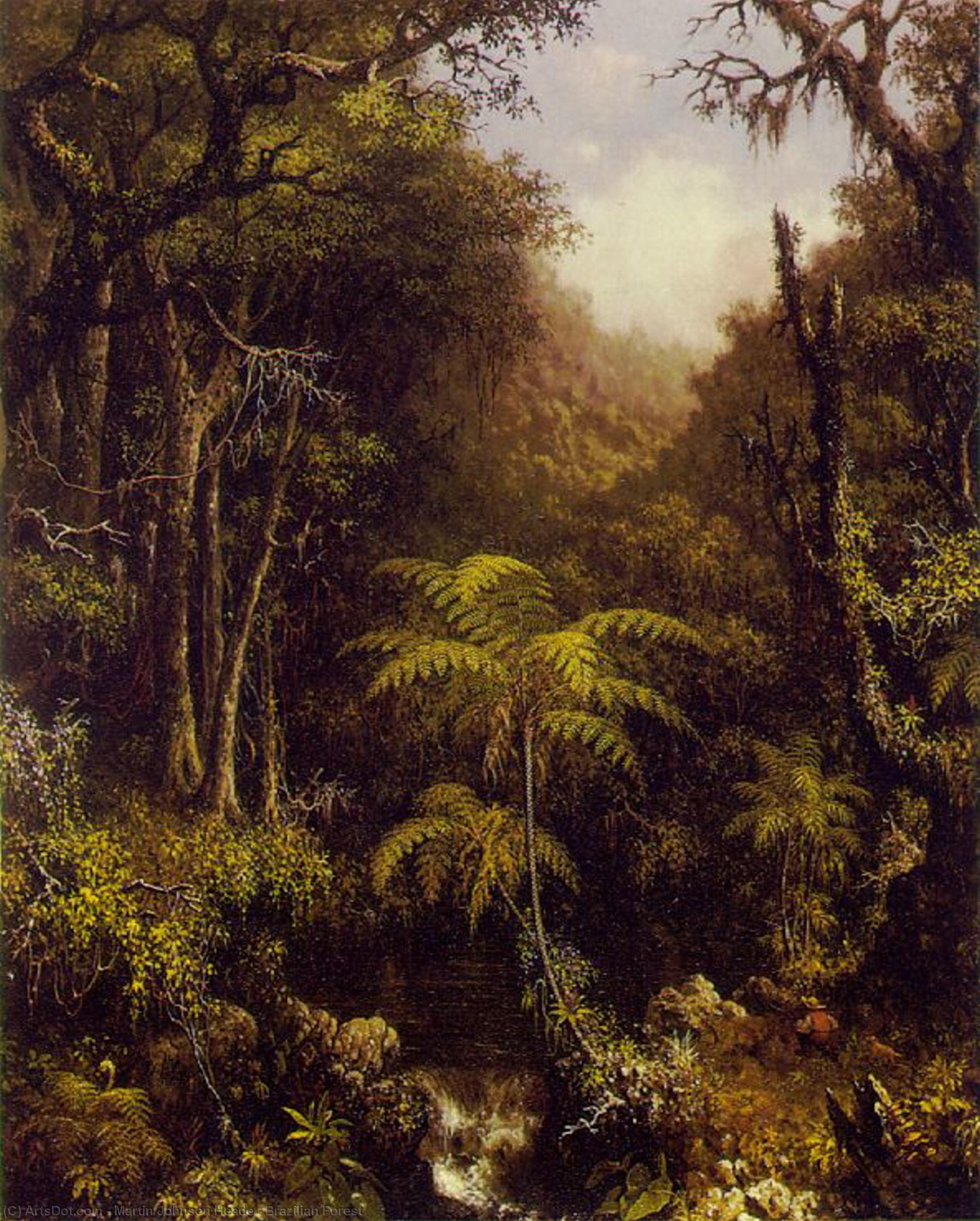 Buy Museum Art Reproductions Brazilian Forest by Martin Johnson Heade (1819-1904, United States) | ArtsDot.com