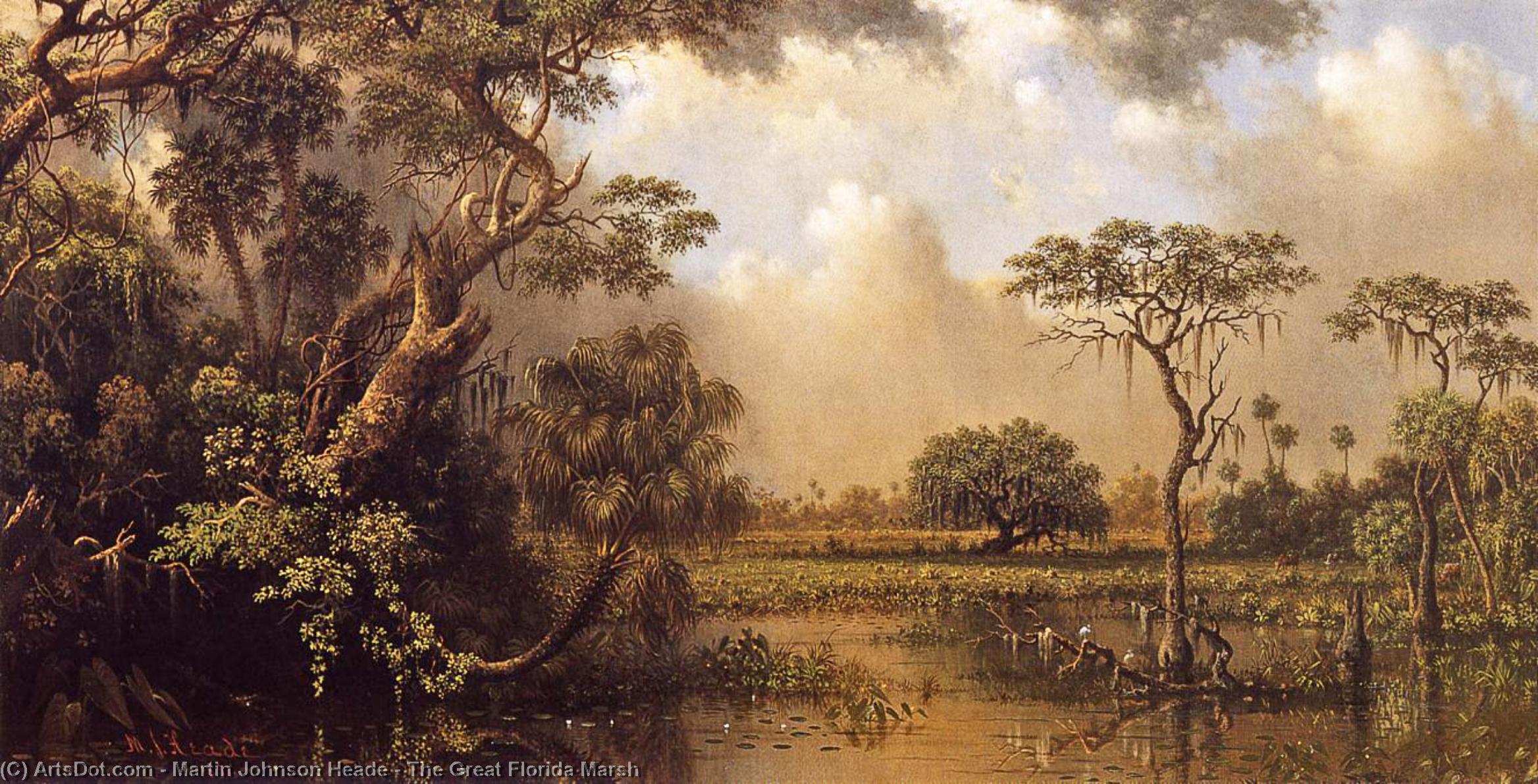 Order Oil Painting Replica The Great Florida Marsh by Martin Johnson Heade (1819-1904, United States) | ArtsDot.com