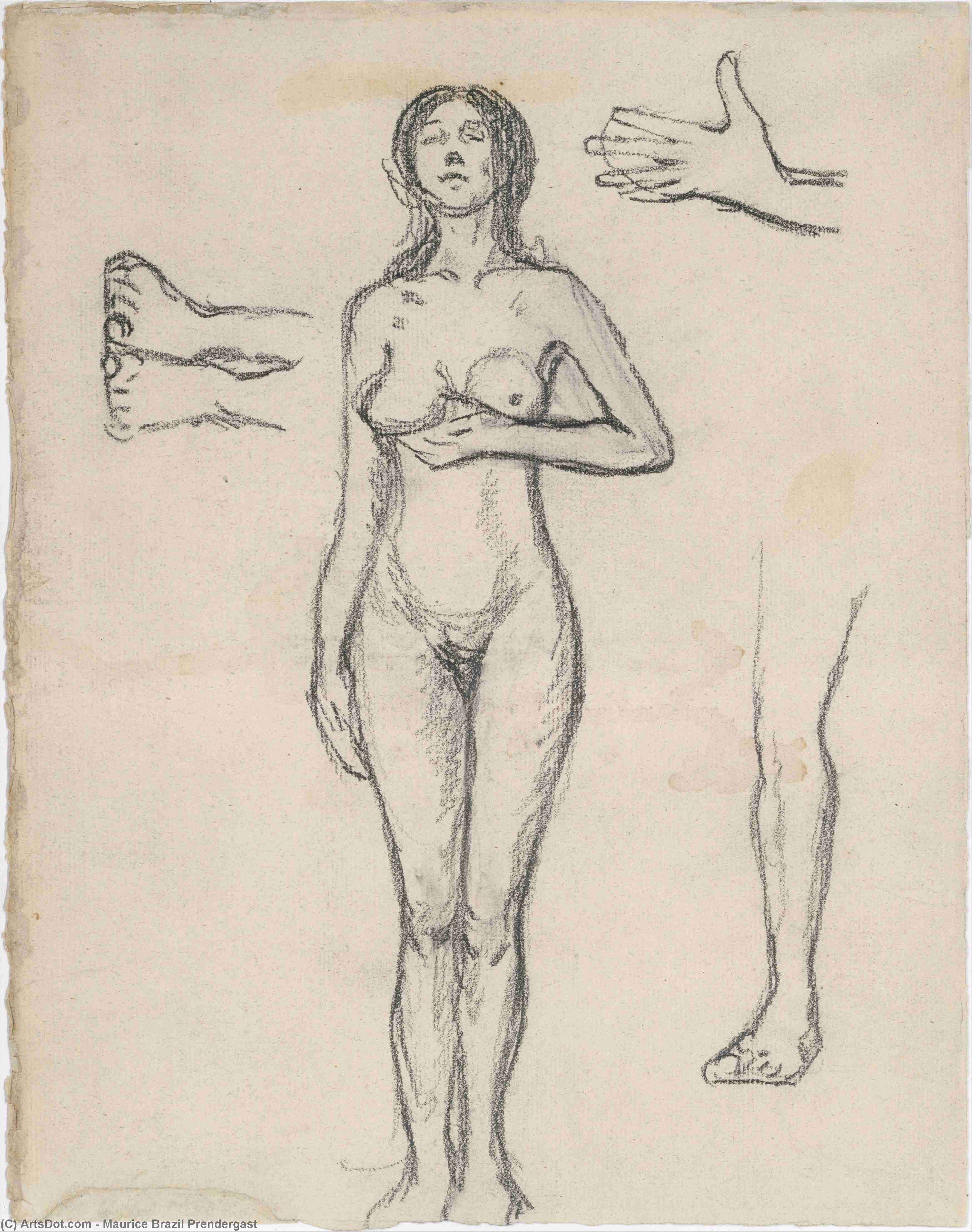 Order Oil Painting Replica Standing Nude Woman and Studies of a Hand, Leg, and Feet by Maurice Brazil Prendergast (1858-1924, Canada) | ArtsDot.com