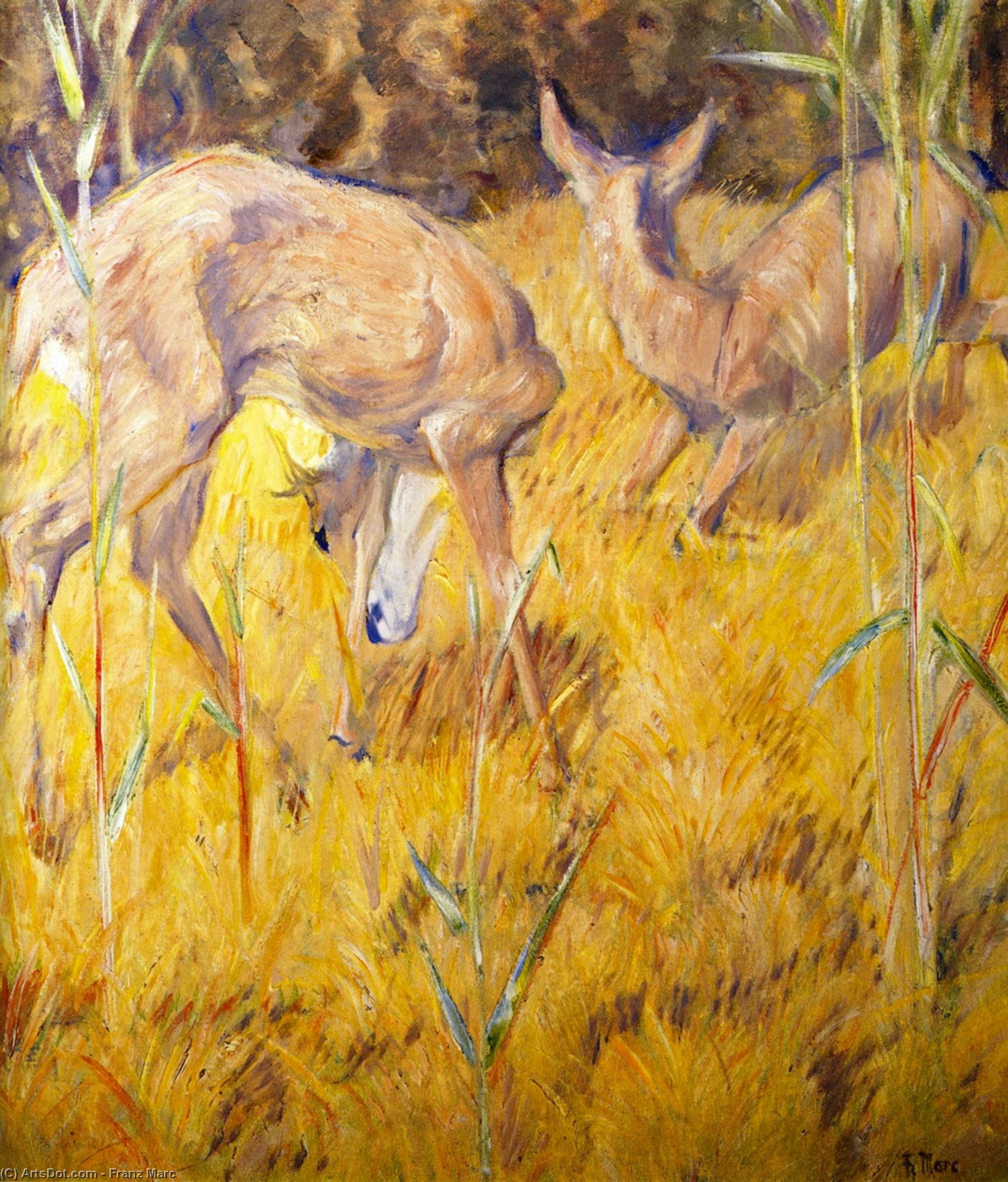 Buy Museum Art Reproductions Deer in the Reeds, 1909 by Franz Marc (1880-1916, Germany) | ArtsDot.com
