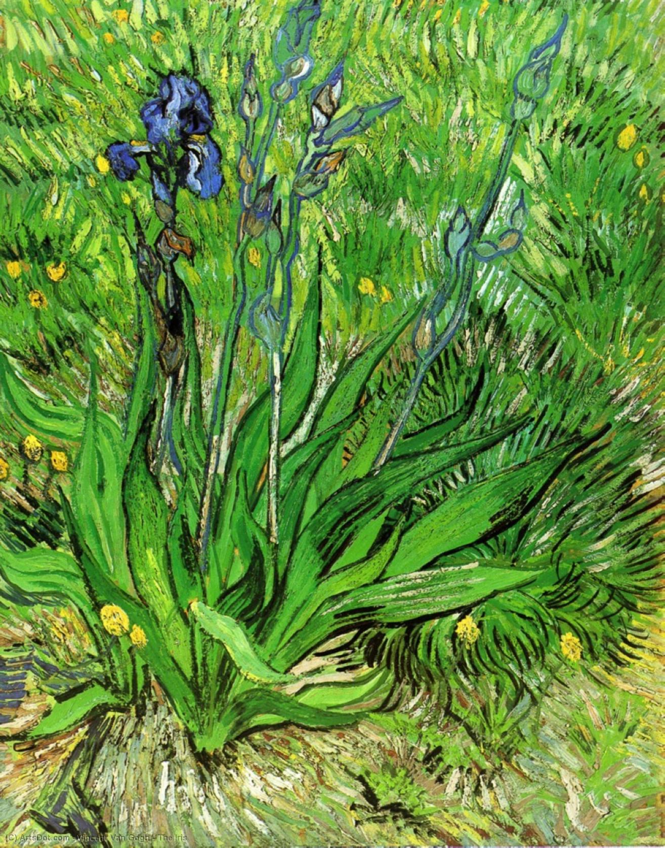 Order Art Reproductions The Iris, 1889 by Vincent Van Gogh (1853-1890, Netherlands) | ArtsDot.com