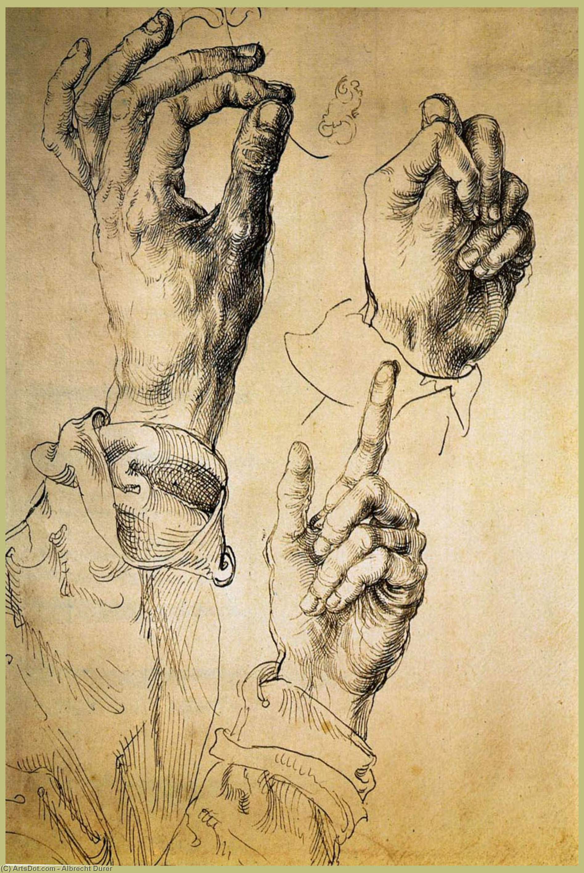 Buy Museum Art Reproductions Study of Three Hands by Albrecht Durer (1471-1528, Italy) | ArtsDot.com