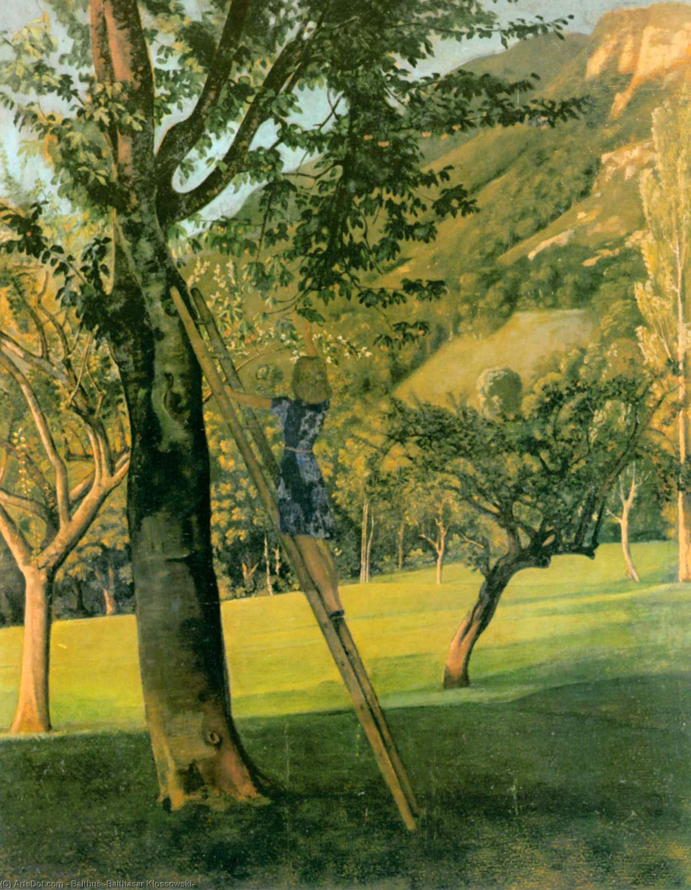 The Cherry Tree, 1940 by Balthus (Balthasar Klossowski) (1908-2001, France) Balthus (Balthasar Klossowski) | ArtsDot.com