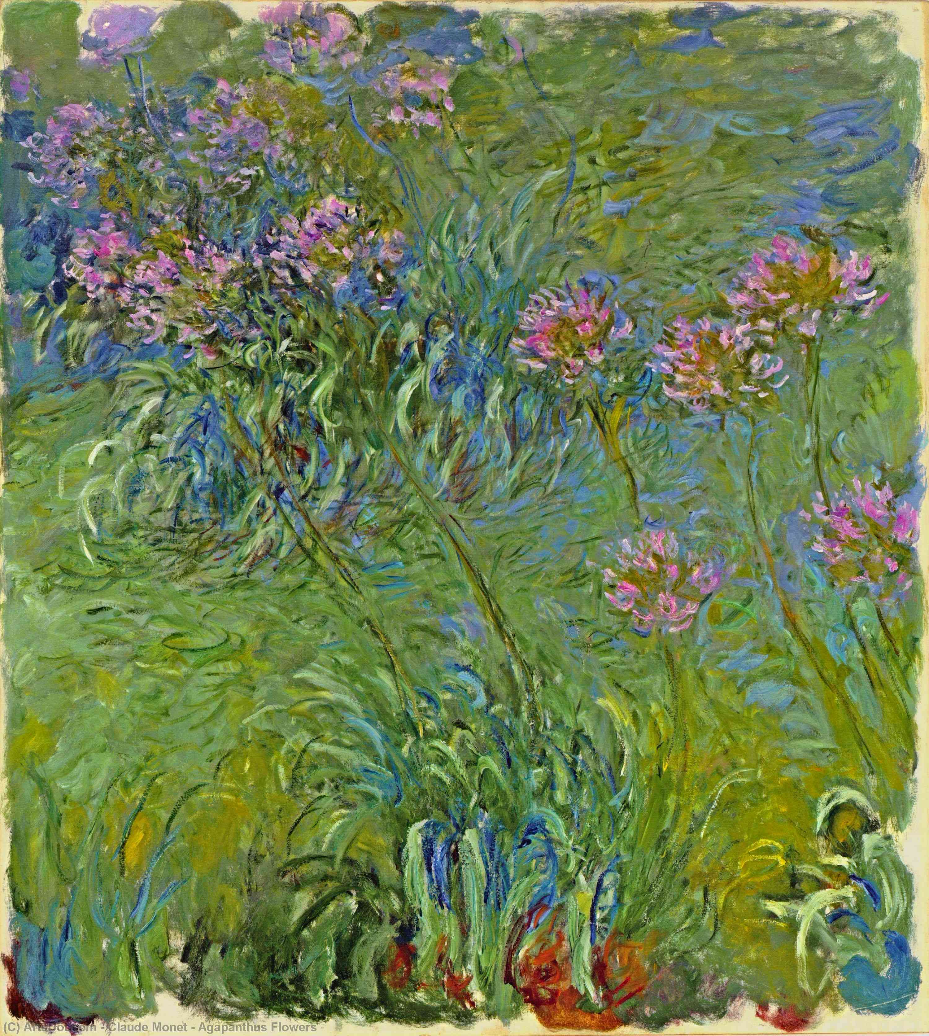 Buy Museum Art Reproductions Agapanthus Flowers, 1917 by Claude Monet (1840-1926, France) | ArtsDot.com