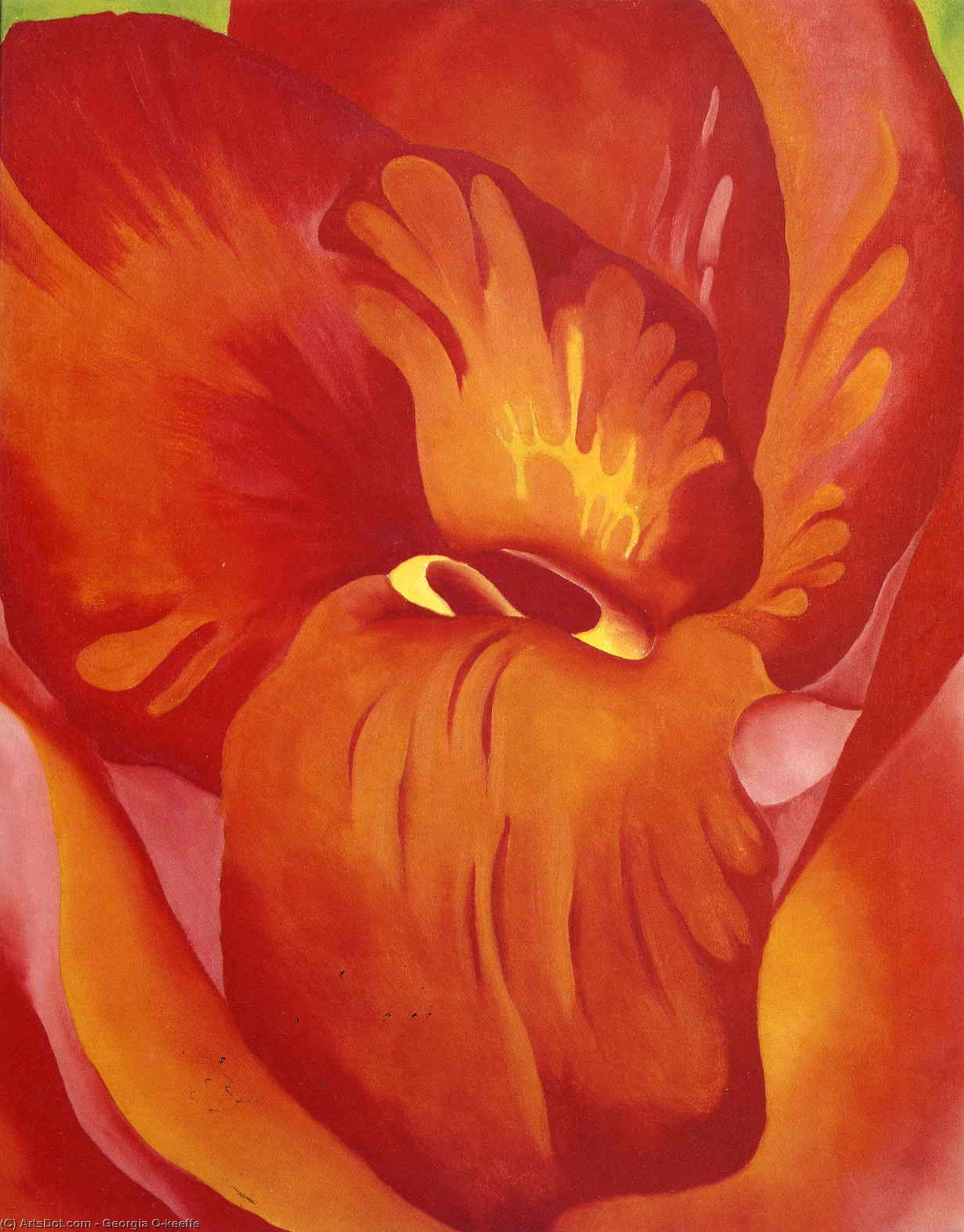 Order Paintings Reproductions Canna Red and Orange, 1922 by Georgia Totto O'keeffe (Inspired By) (1887-1986, United States) | ArtsDot.com
