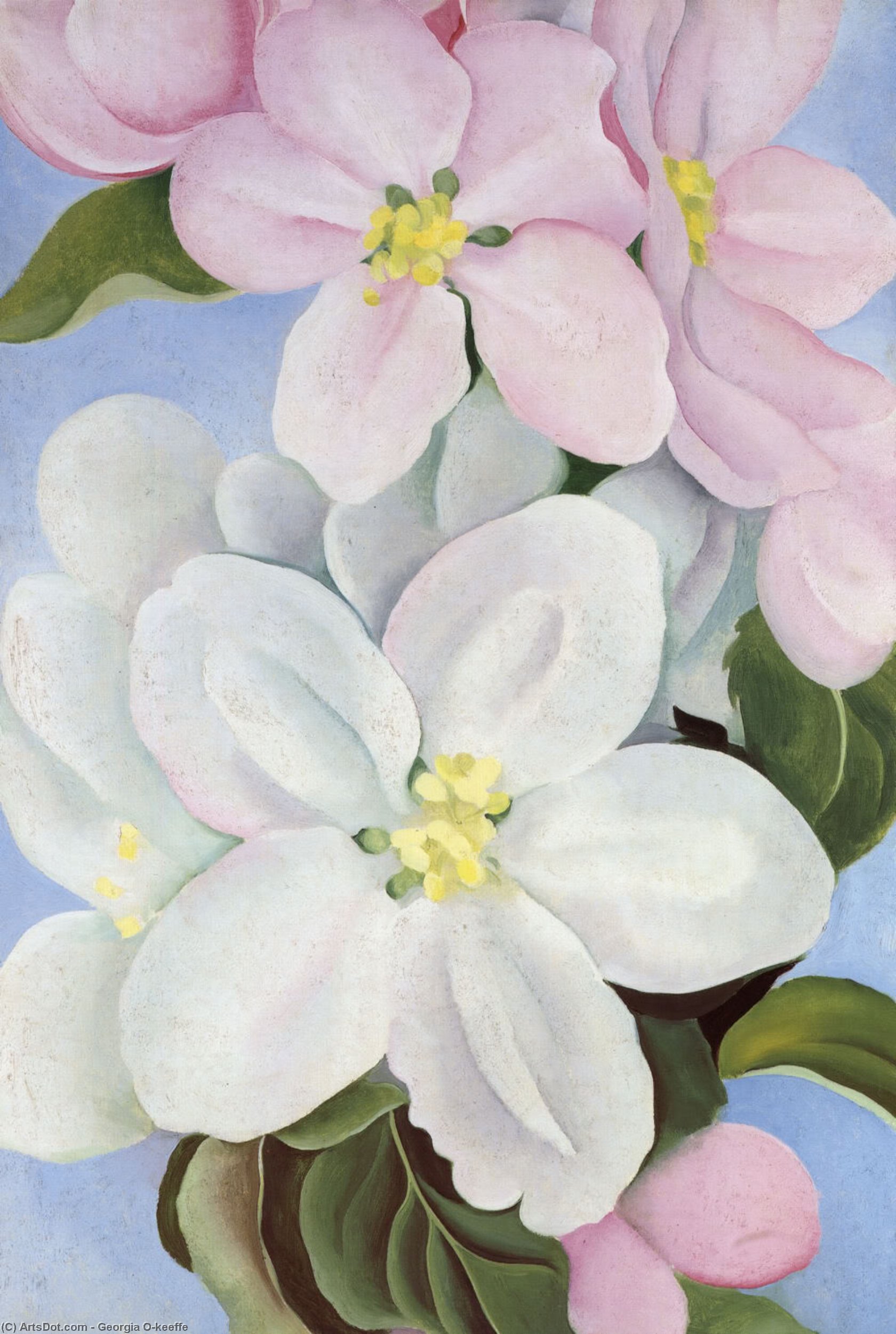 Order Oil Painting Replica Apple Blossom by Georgia Totto O'keeffe (Inspired By) (1887-1986, United States) | ArtsDot.com