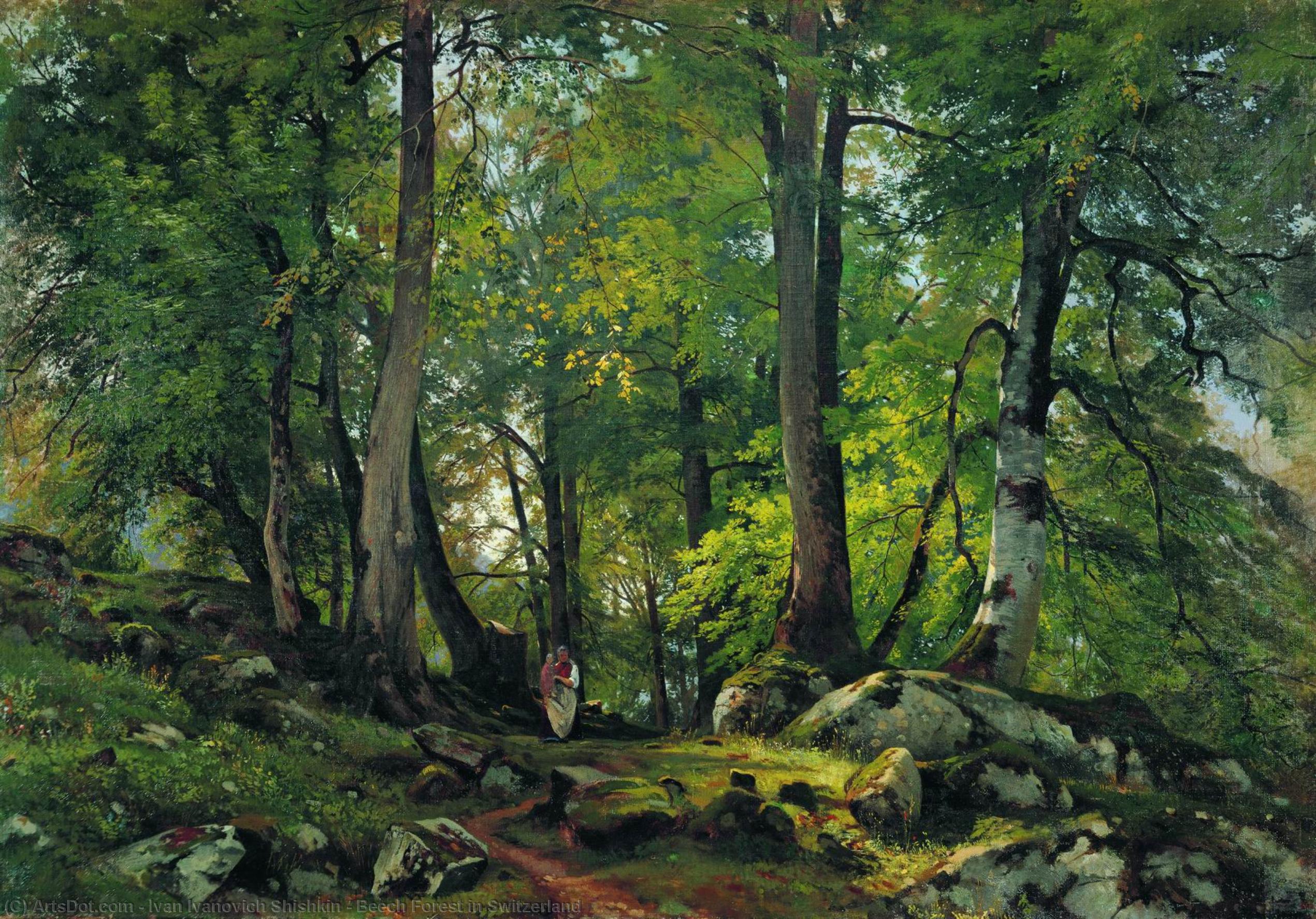 Buy Museum Art Reproductions Beech Forest in Switzerland, 1863 by Ivan Ivanovich Shishkin (1832-1898, Russia) | ArtsDot.com