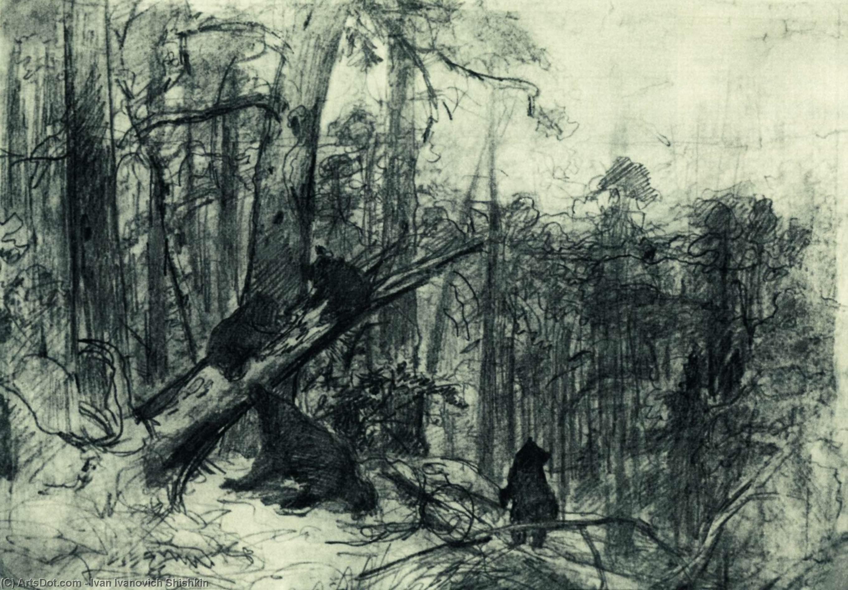 Ordem Gravura De Qualidade De Museu Manhã em uma floresta de pinho, 1886 por Ivan Ivanovich Shishkin (1832-1898, Russia) | ArtsDot.com