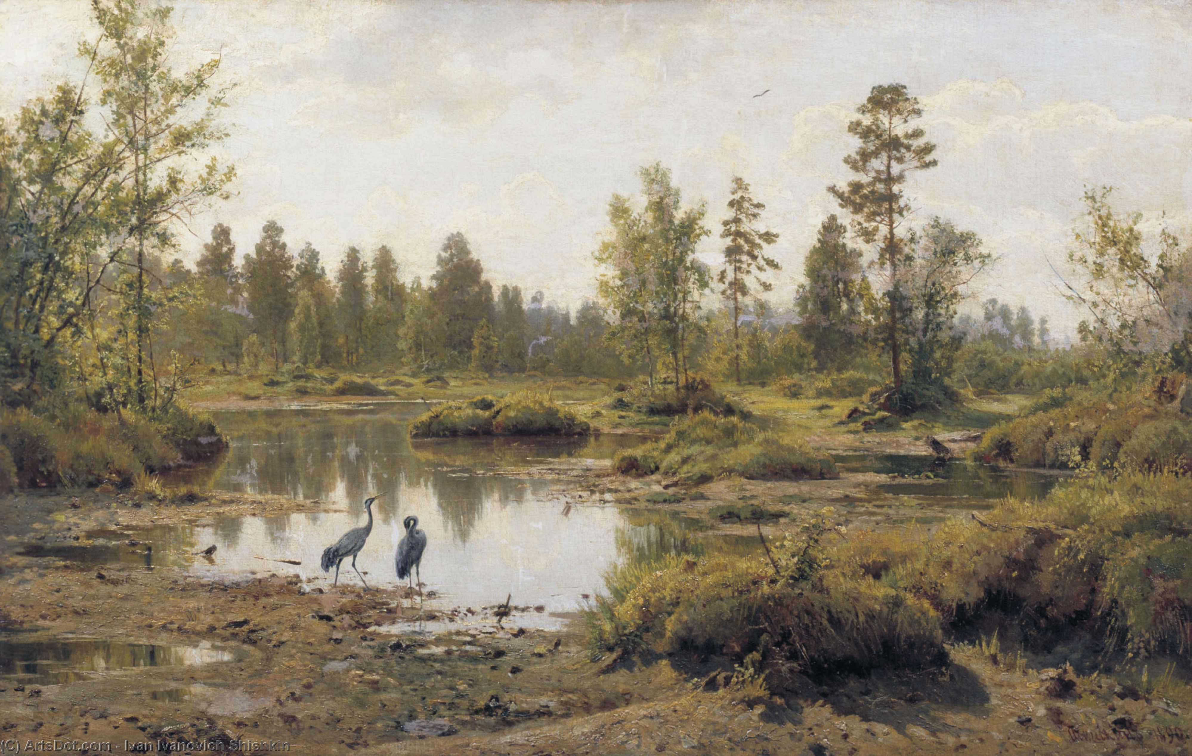 Order Oil Painting Replica Marsh. Polissia, 1890 by Ivan Ivanovich Shishkin (1832-1898, Russia) | ArtsDot.com